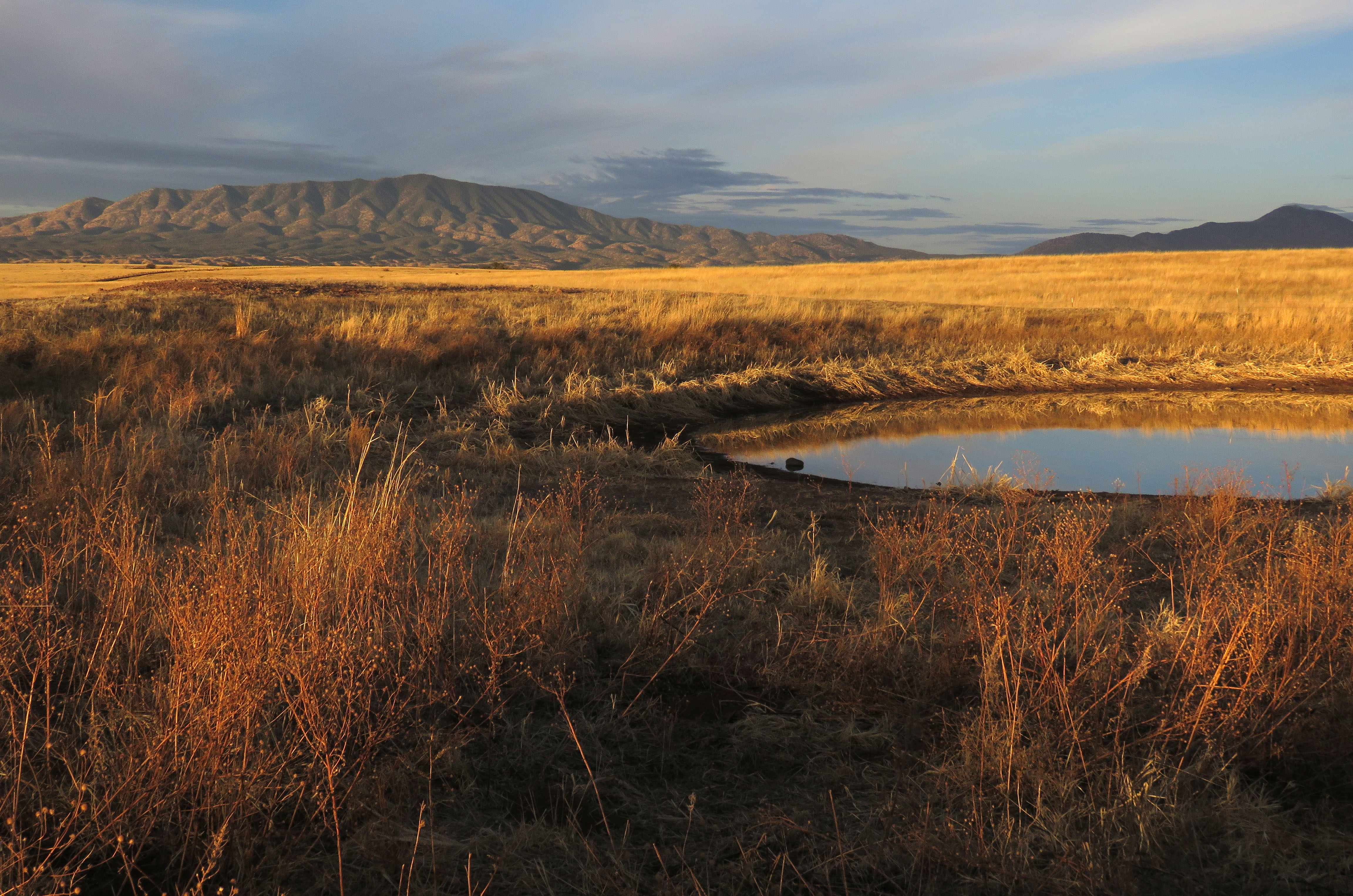 08vb - san rafael valley grasslands, se of patagonia, scc, az (2-3-2018) early morning at duquesne tank -03 photo