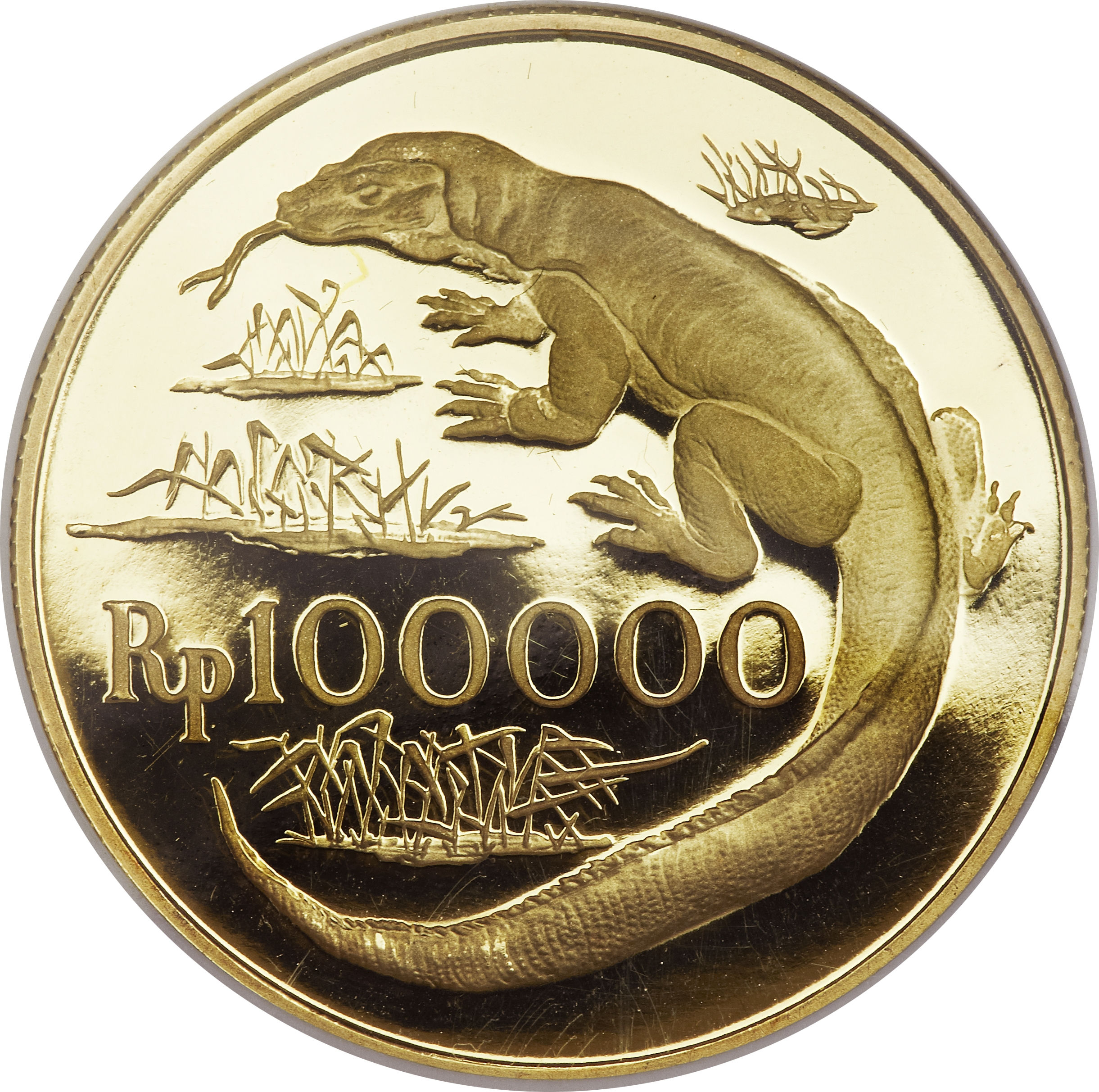 100 000 Rupiah (Komodo Dragon) - Indonesia – Numista