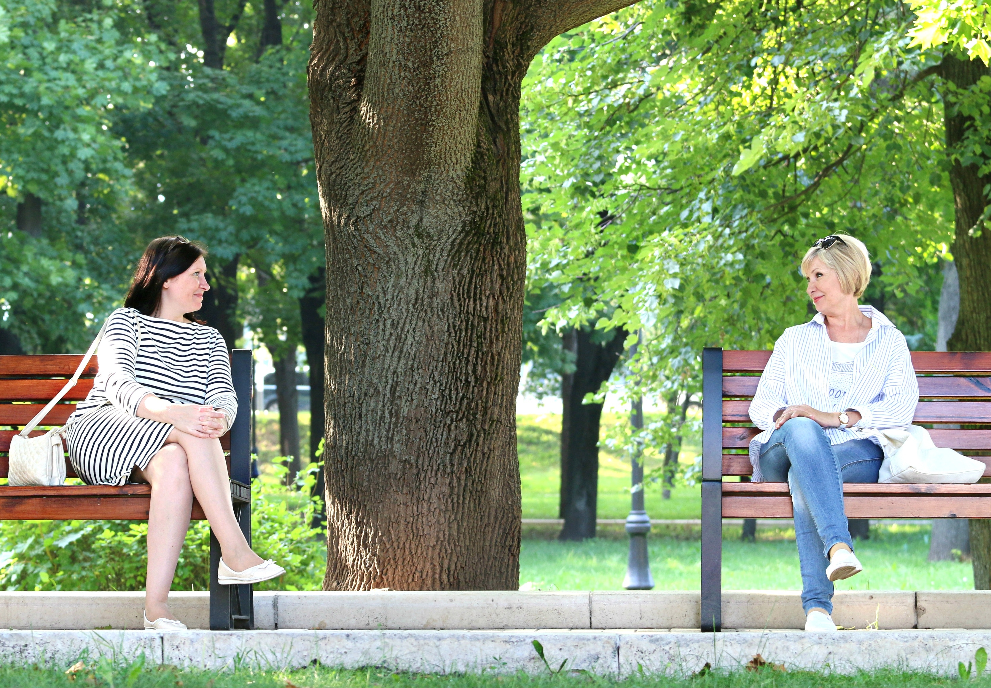2 woman sitting in the different bench chair near tree in the park during daytime photo
