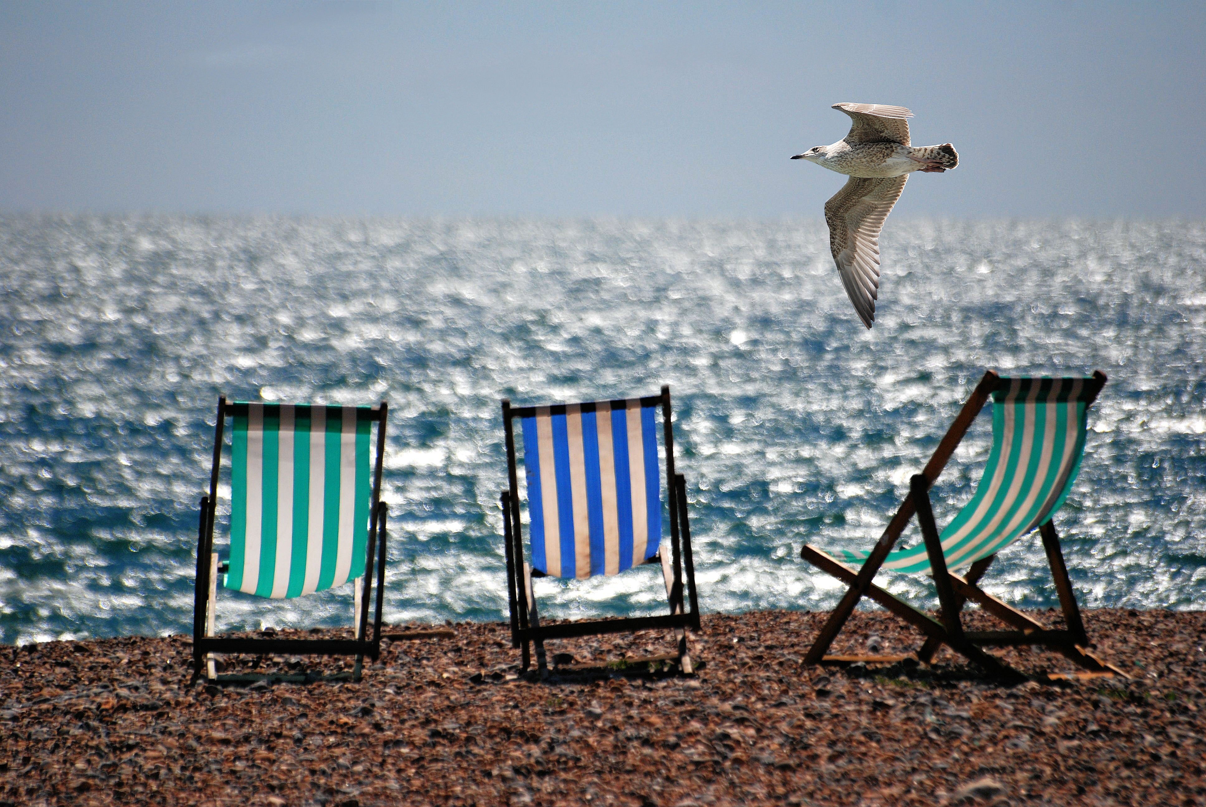 3 Green and Blue Beach Chairs on Brown Sea Shore, Beach, Deckchairs, Ocean, Sand, HQ Photo