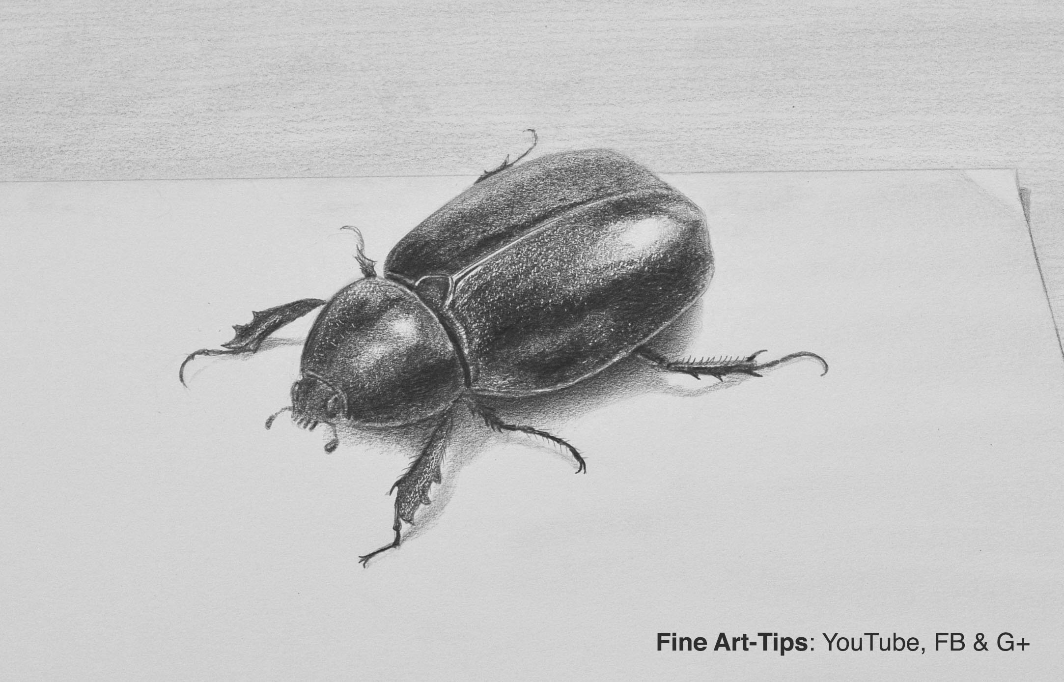 How to Draw a Beetle With Pencil in 3D - Insect - YouTube
