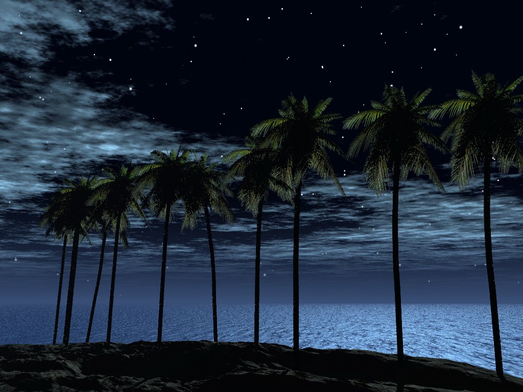 3D nature, Dark, Nature, Night, Palm, HQ Photo