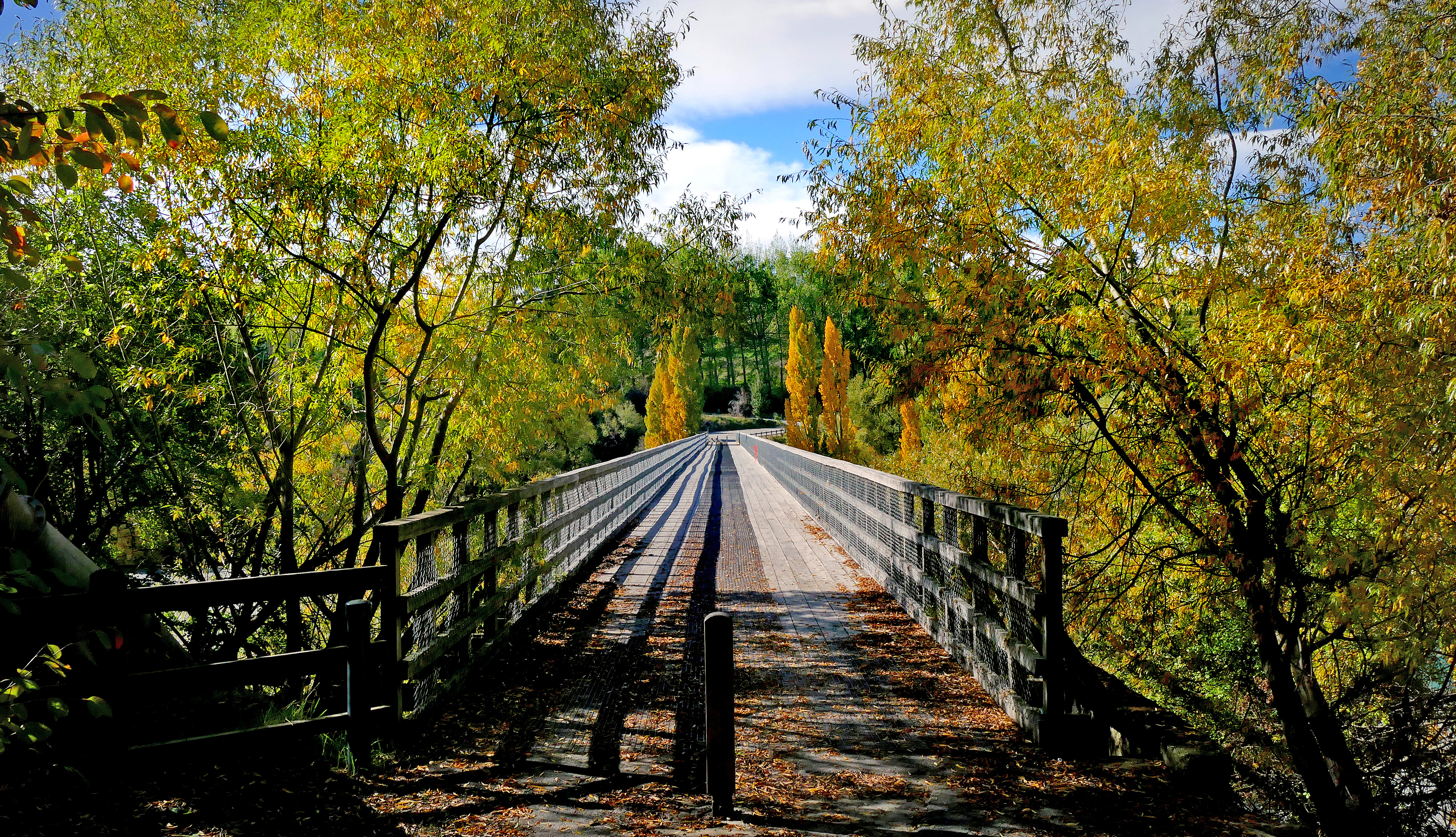 A autumn bridge. photo