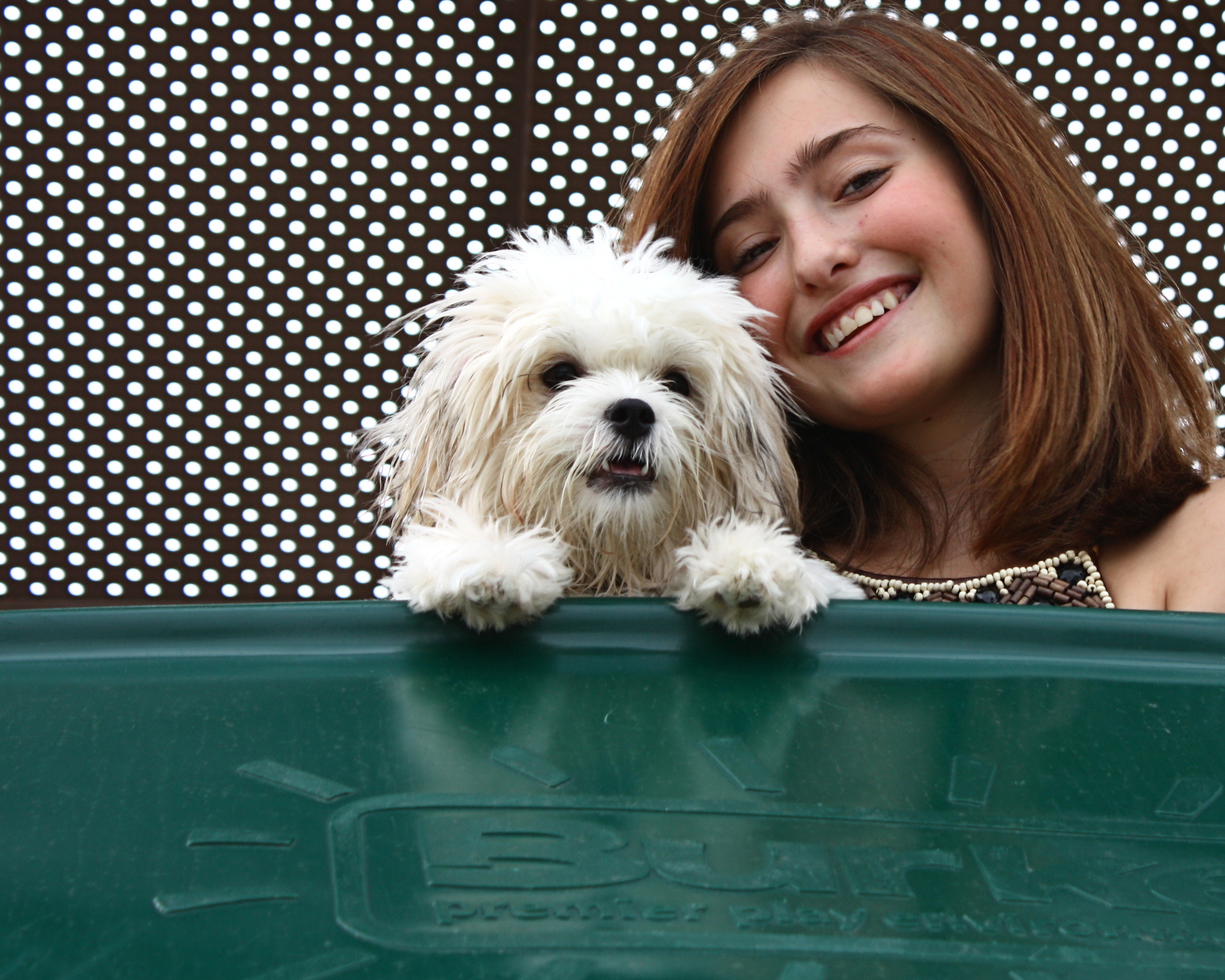 A beautiful young girl playing with dog, Animals, Pets, Tweens, Teens, HQ Photo