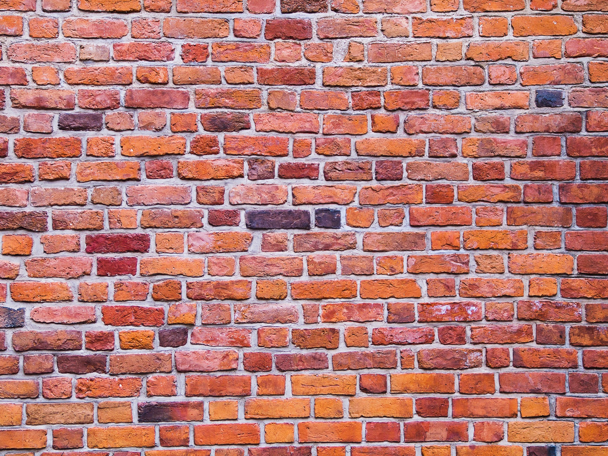 A brick wall photo