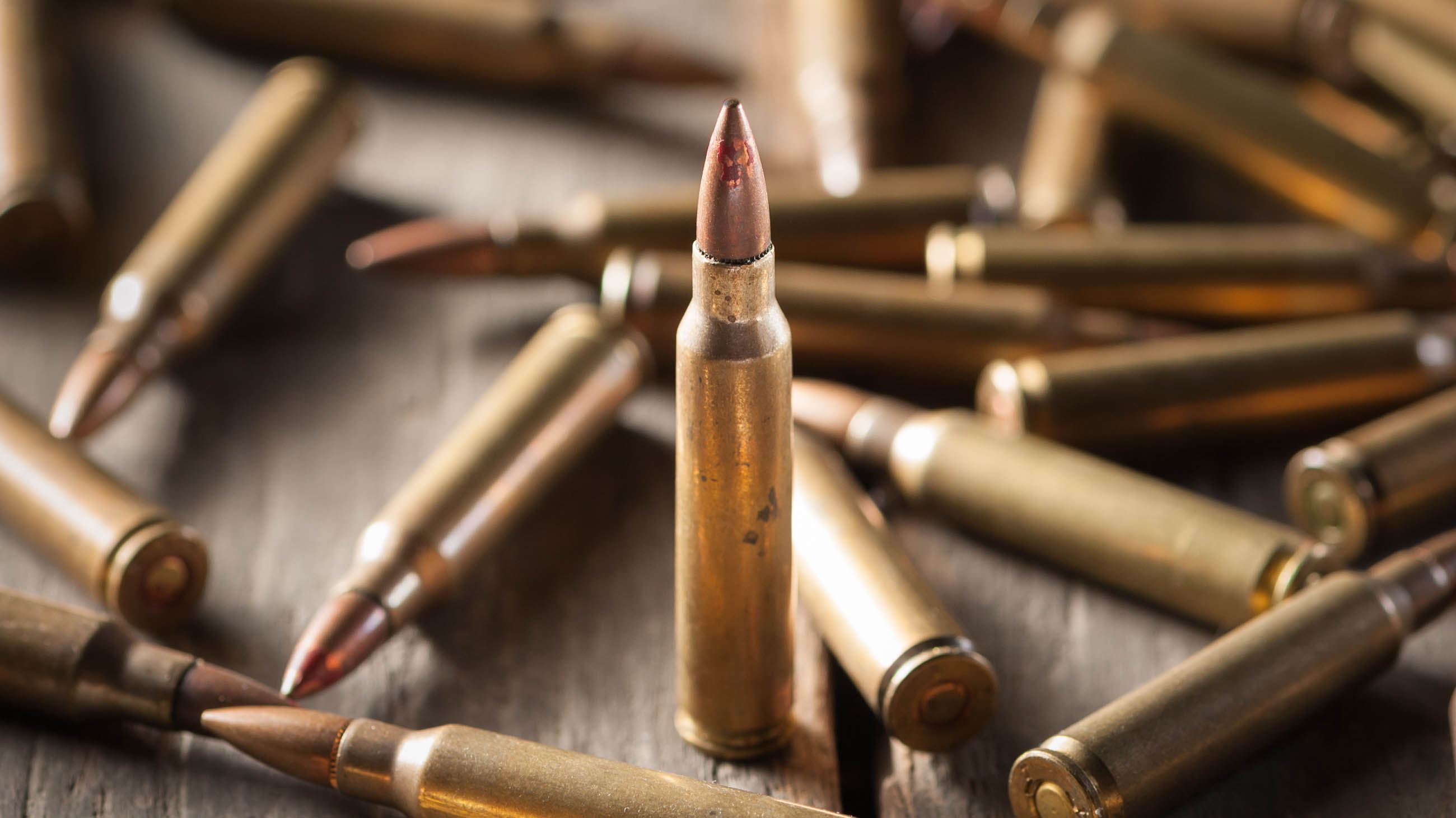 Lead Ammunition Poses Real Risks. Why Won't Gun Owners Switch?