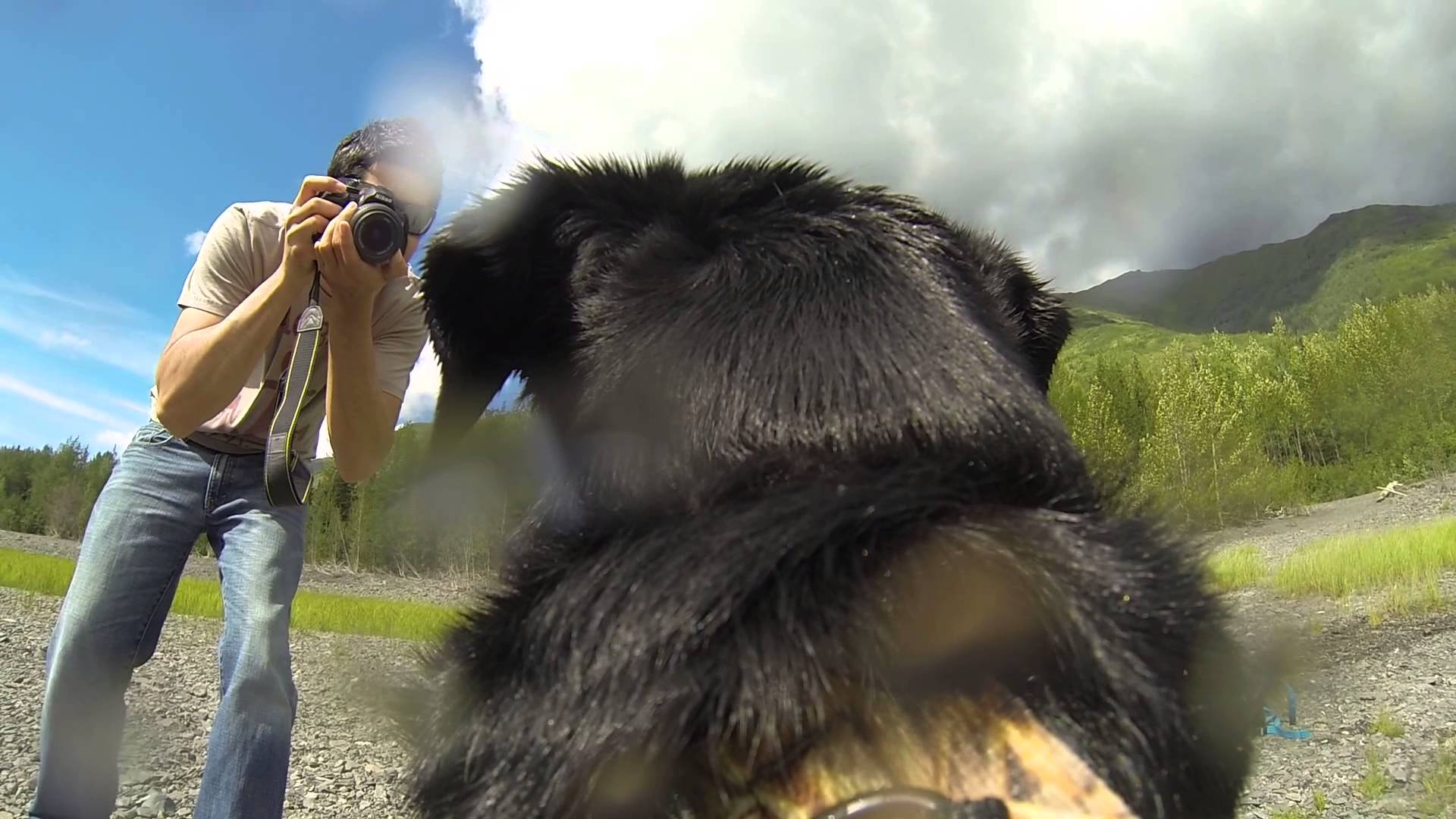 It's A Dogs View! (GoPro Hero 3 black edition dog vest mount) - YouTube