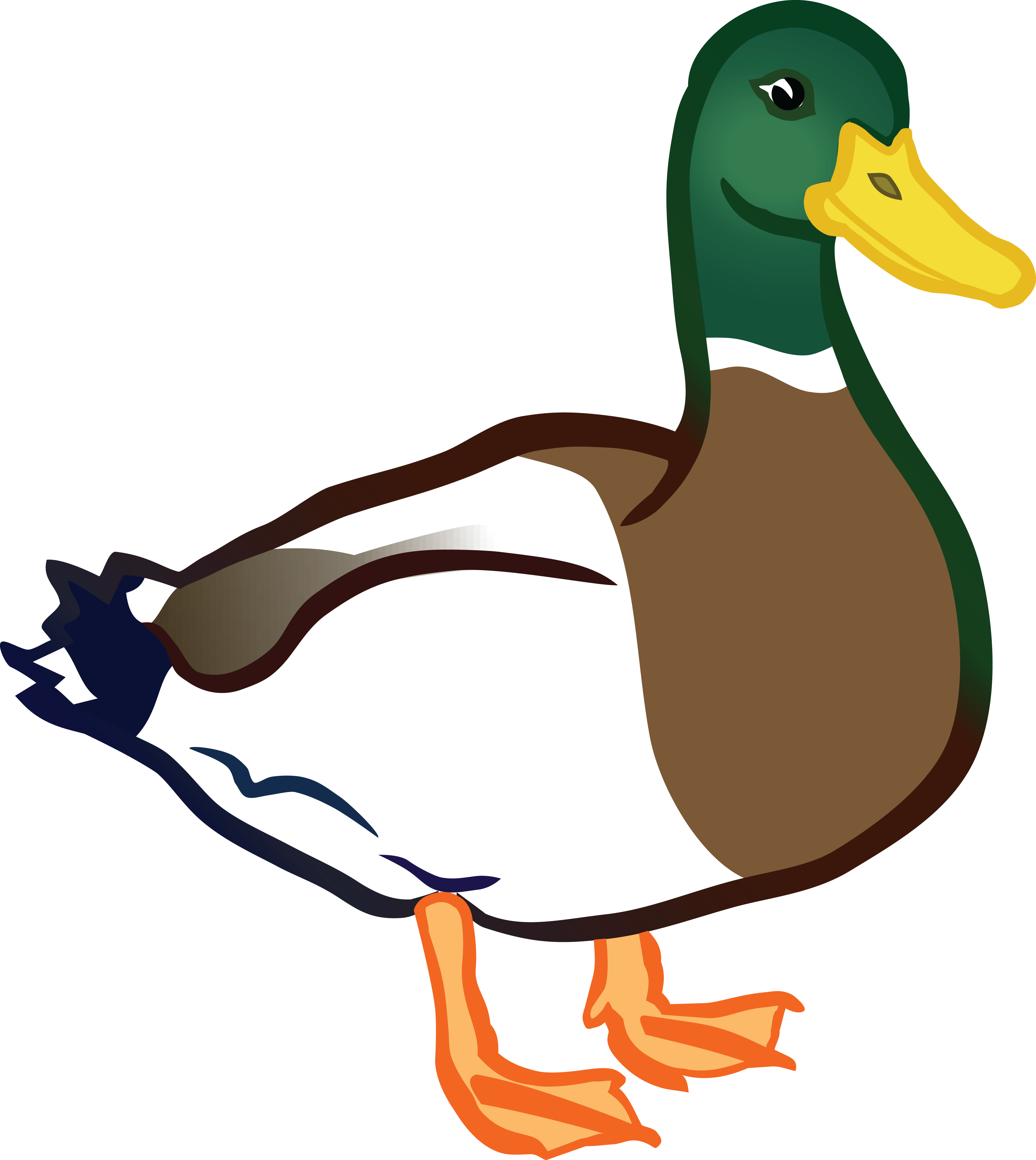 Free Clipart Of A Duck, Mallard Drake