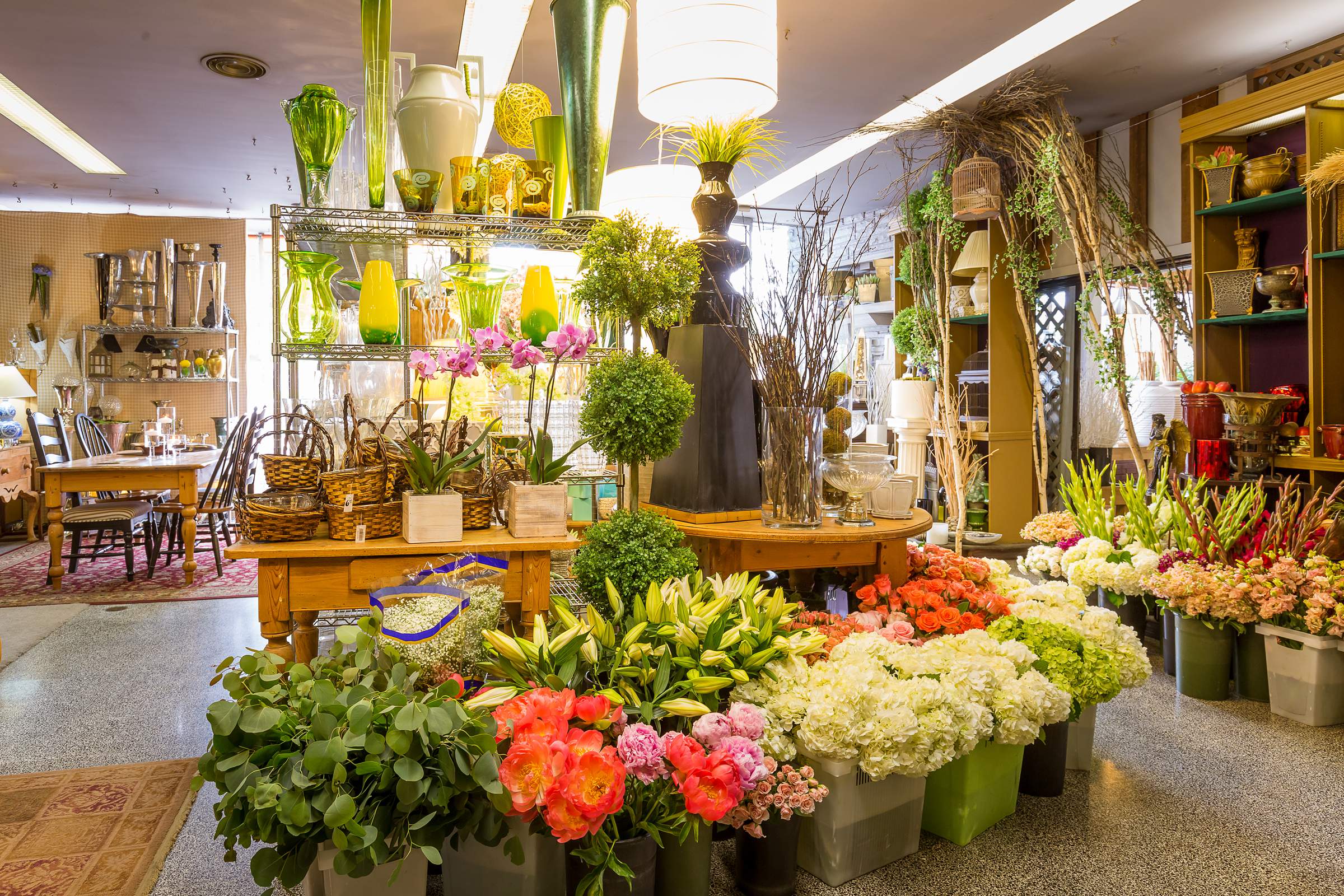 flower-shop-chicago-virtual-tour-360-IMG_0492 | WalkThru360 - Google ...