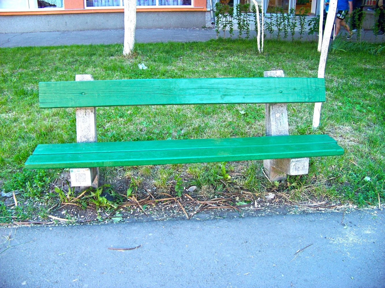 A green bench in a park photo