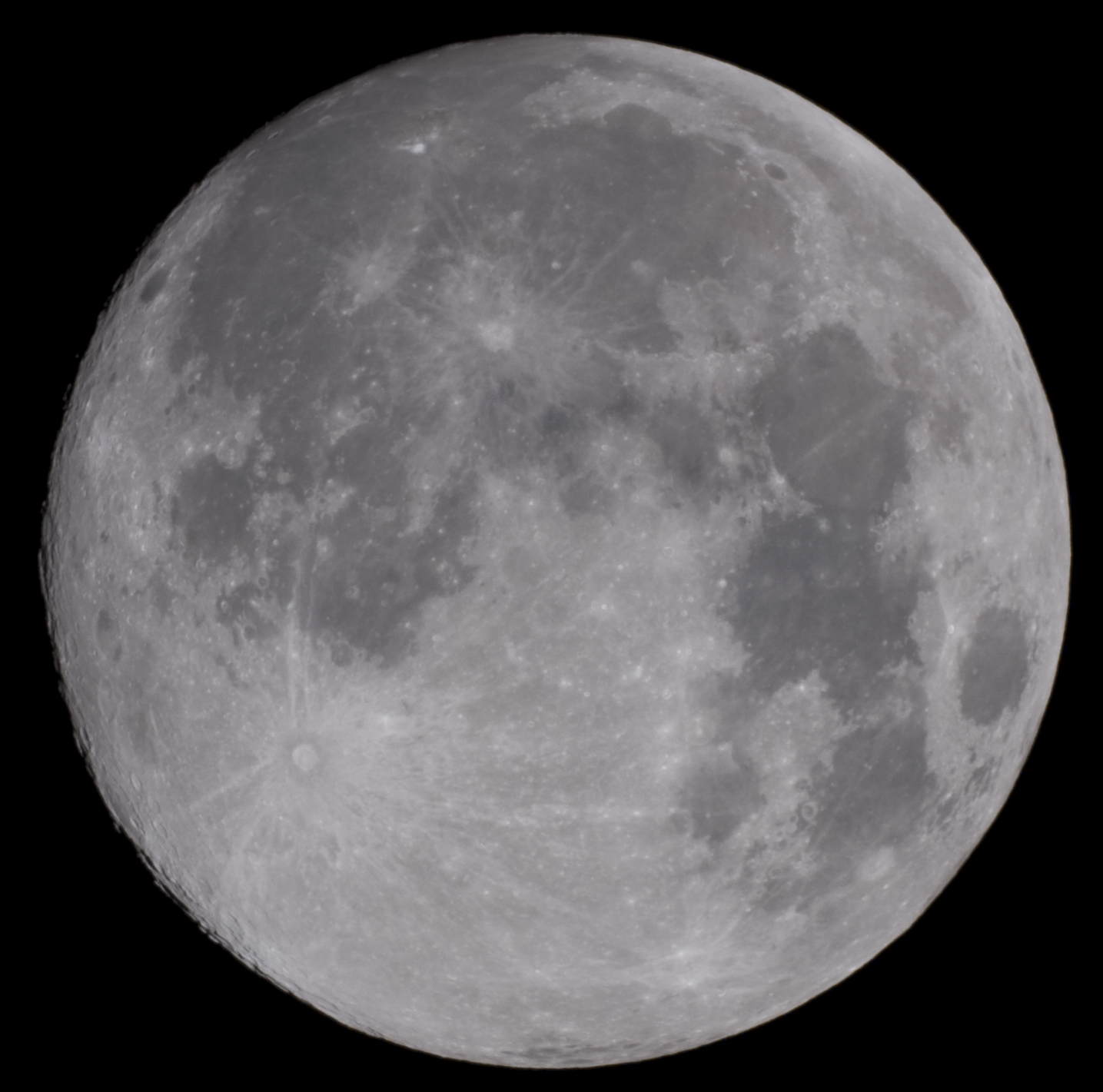 A grey moon photo