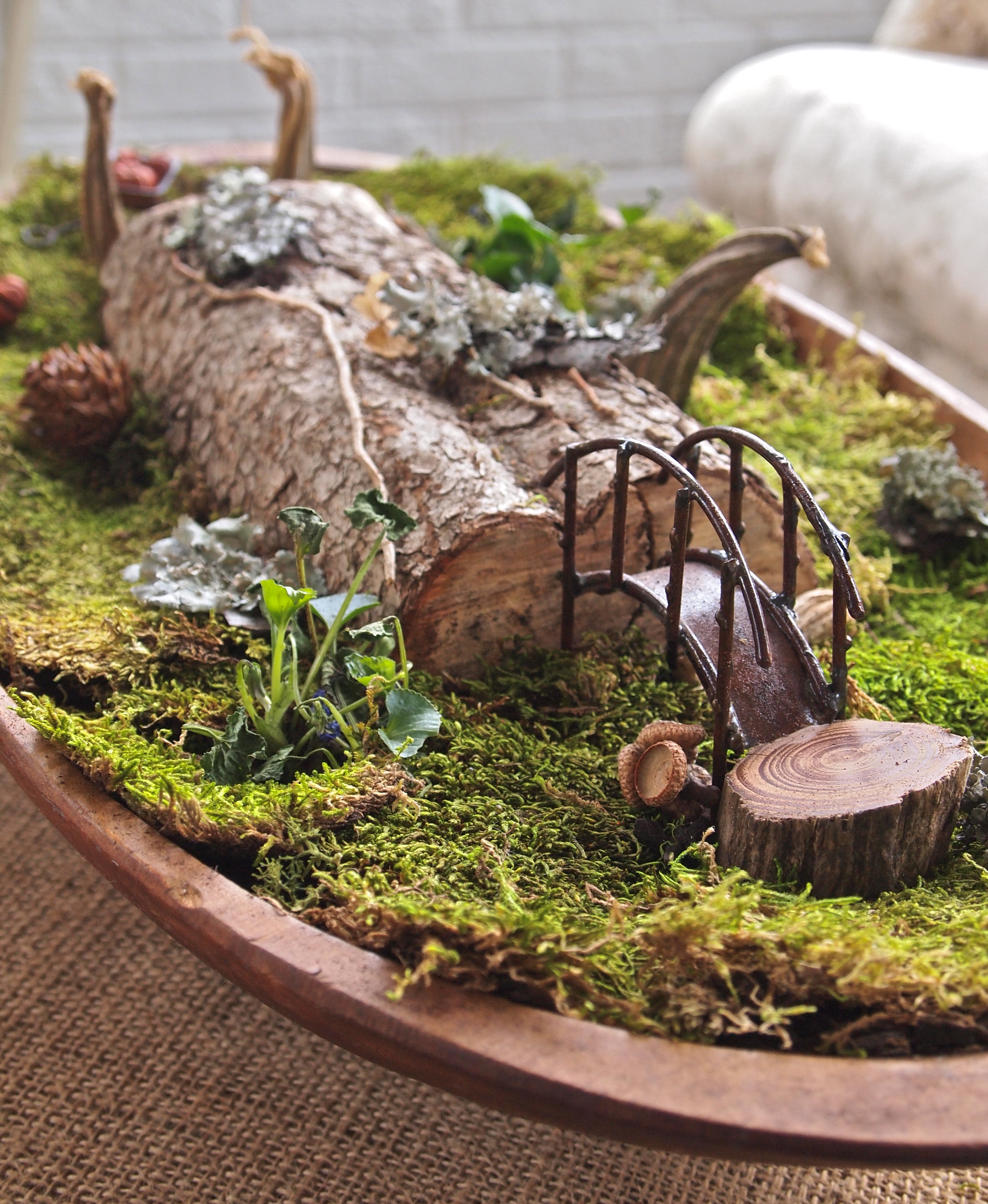 A Wee Fairy Garden | The Long Habit of Living