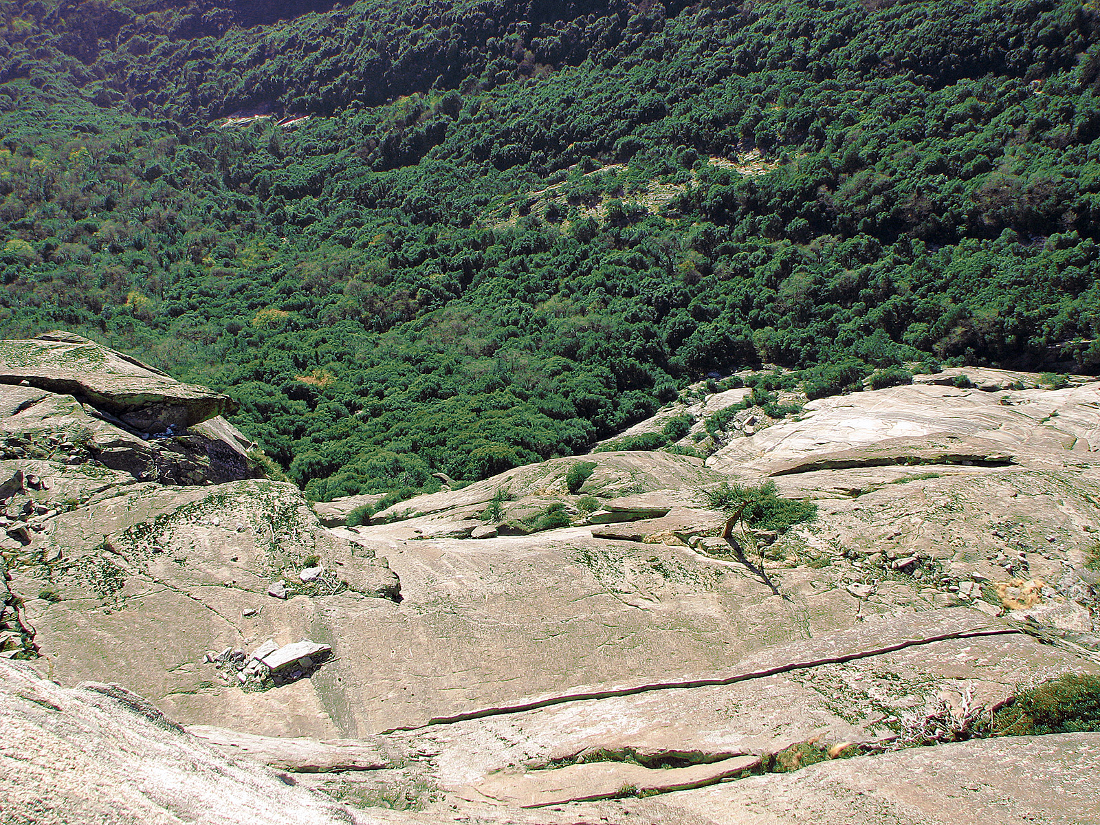 Free Photo A Long Way Down Bspo06 Cliff Forest Free Download 