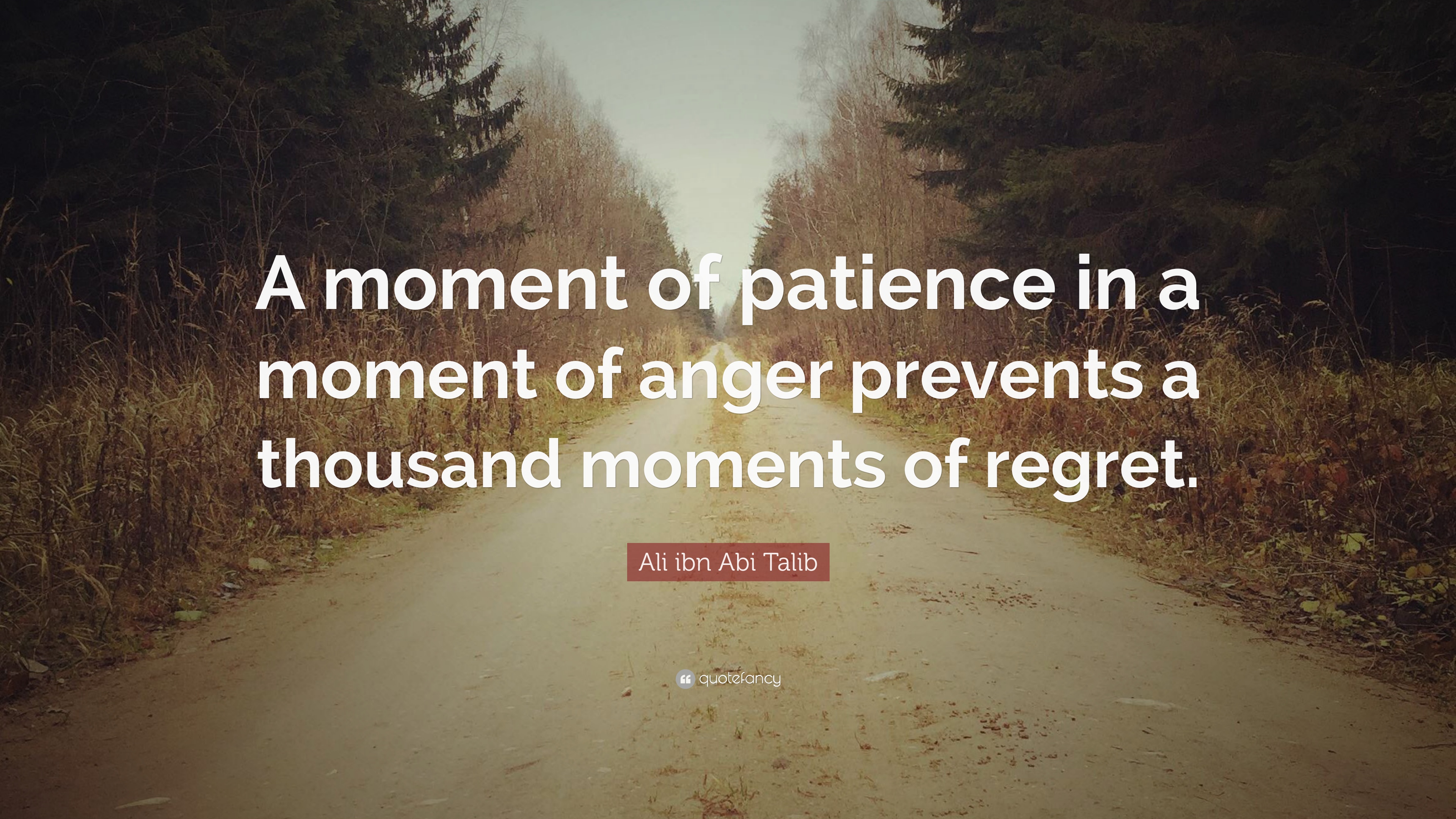 Ali ibn Abi Talib Quote: “A moment of patience in a moment of anger ...