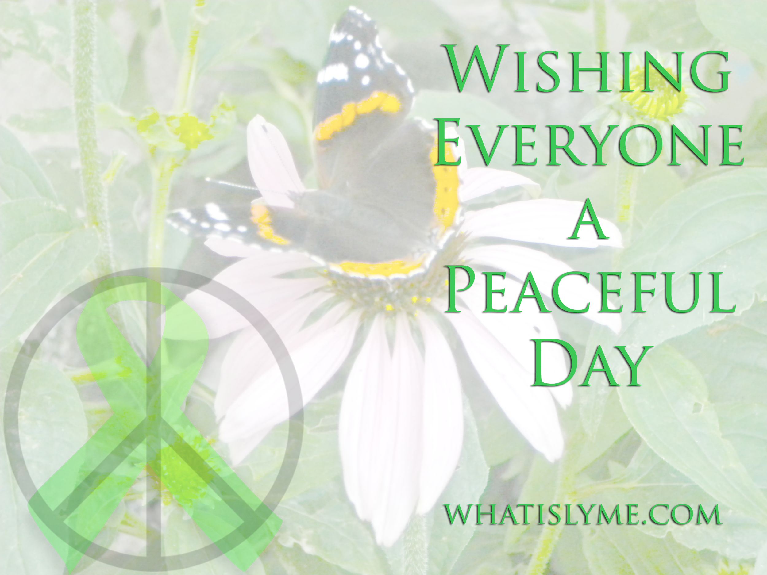 Wishing you all a peaceful day… | What is Lyme Disease?