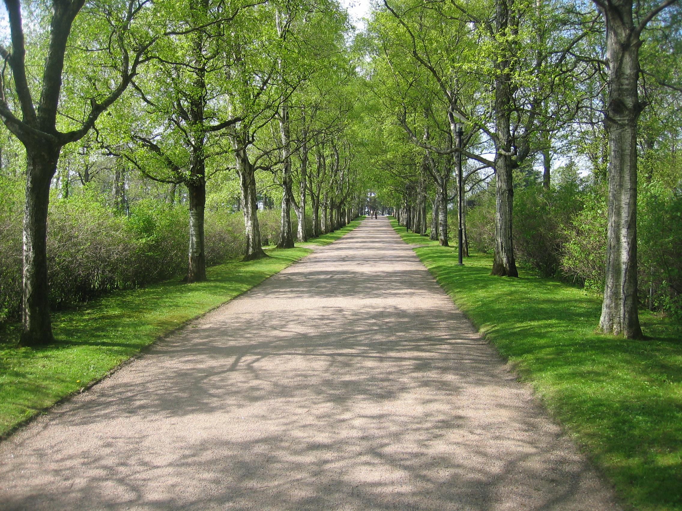 File:A road at Hietaniemi cemetery.JPG - Wikimedia Commons