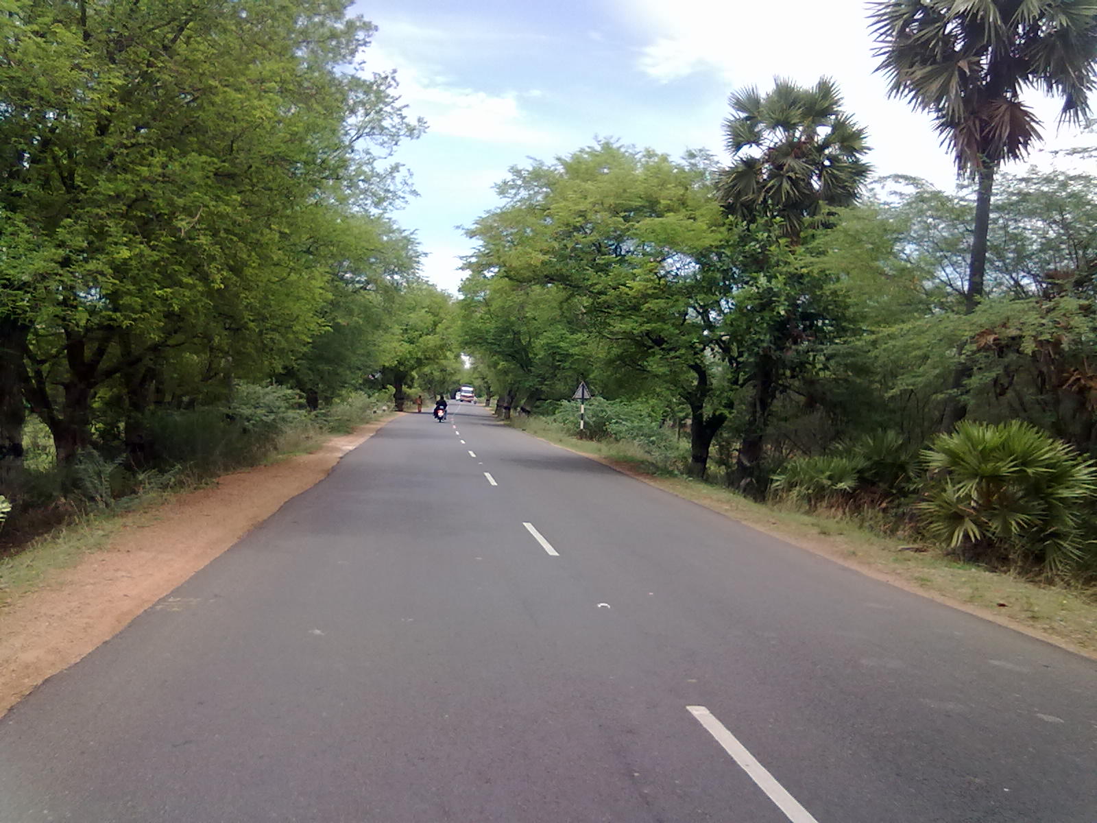 File:A Road in Pudukkottai.jpg - Wikimedia Commons