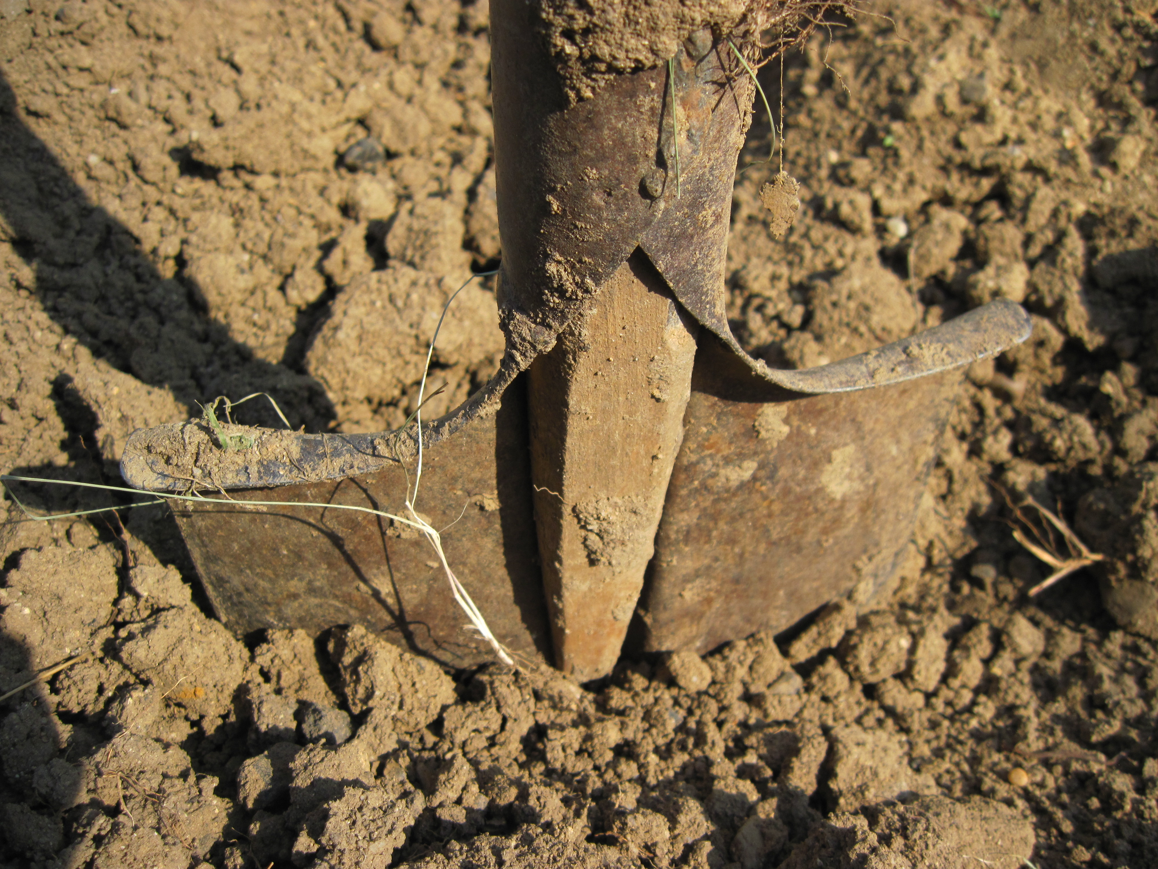 A shovel in the soil photo