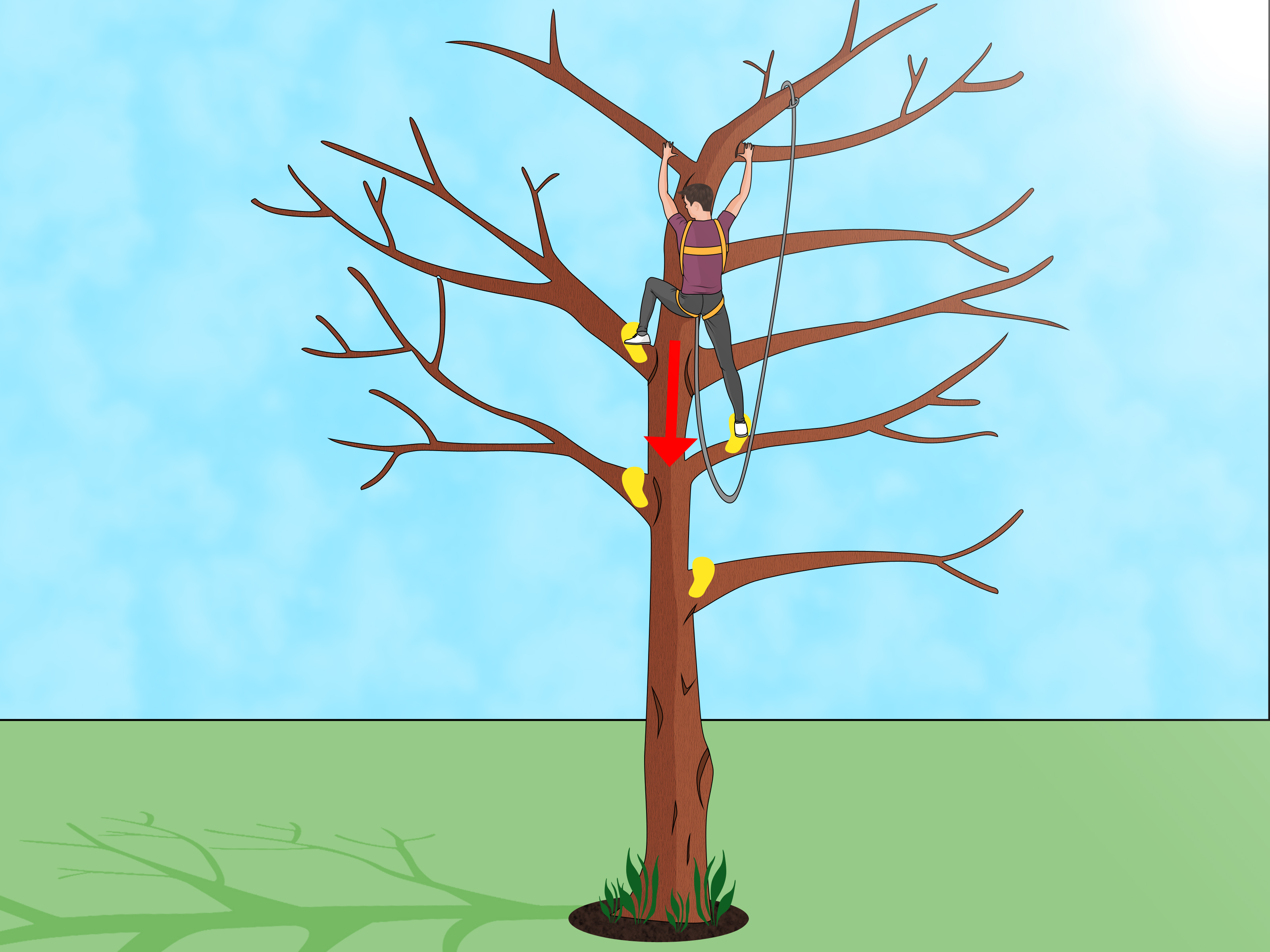 How to Climb a Tree Quickly: 11 Steps (with Pictures) - wikiHow