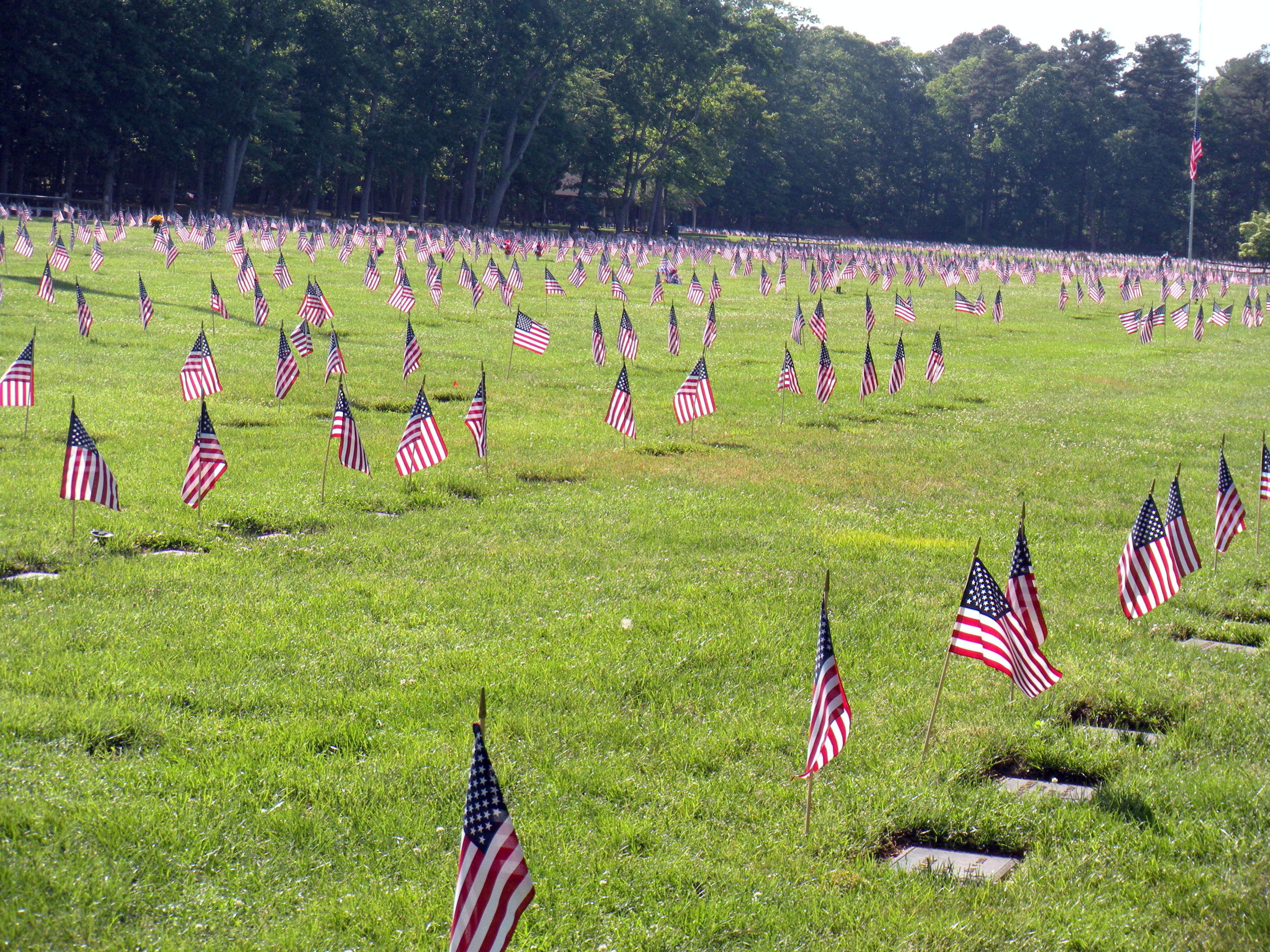 A veterans cemetery photo