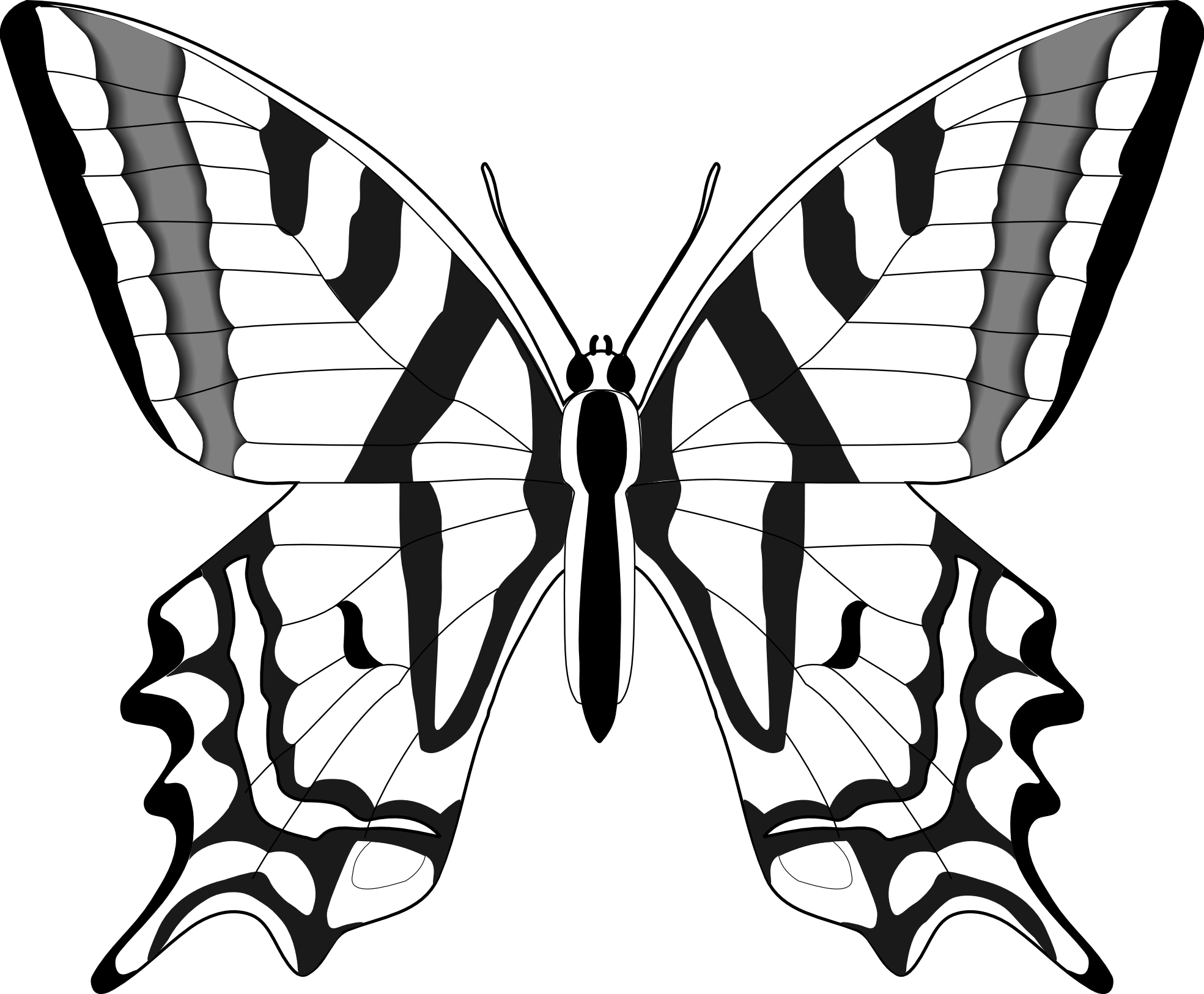 Simple Black And White Butterfly Clipart