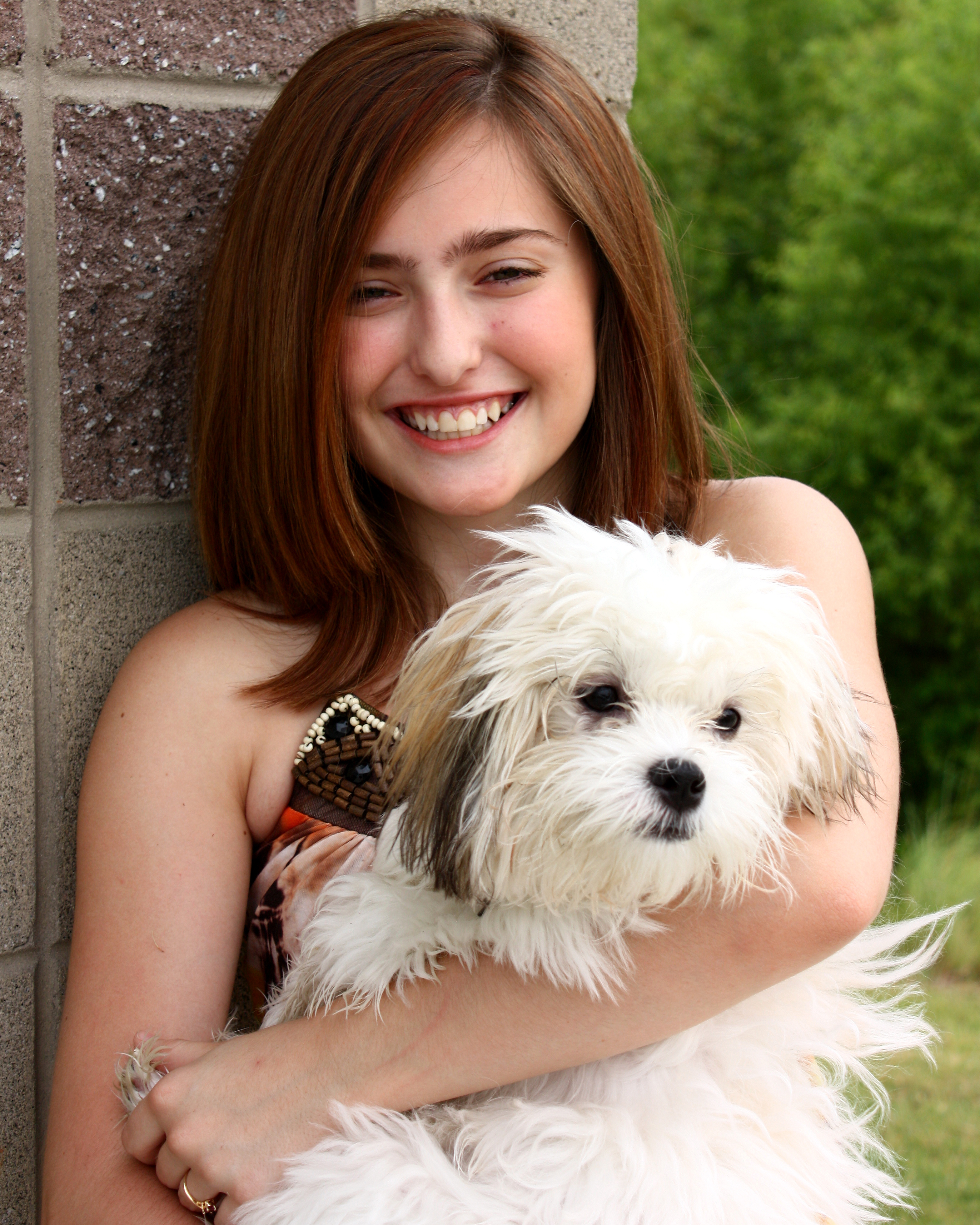 A young girl posing with a small dog photo