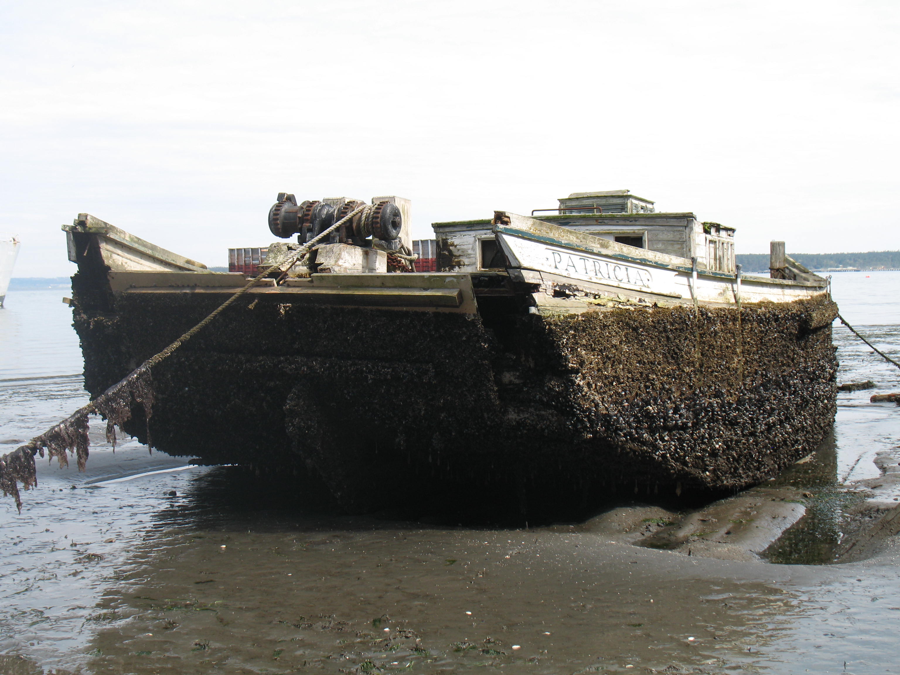 Left to rot and sink, dozens of abandoned boats litter Washington's ...