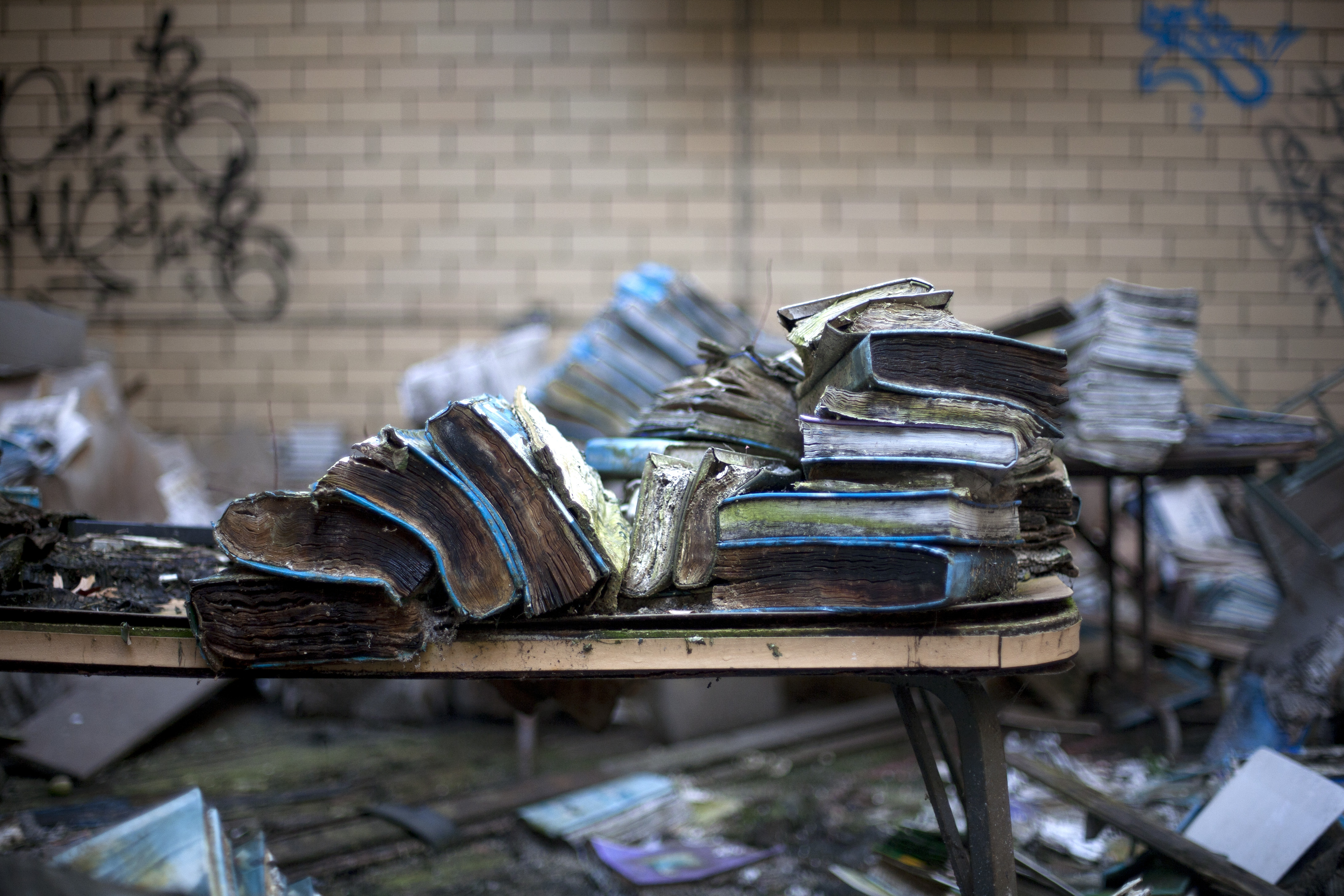 NW Indiana 8: Abandoned Books – noahtriesblogging