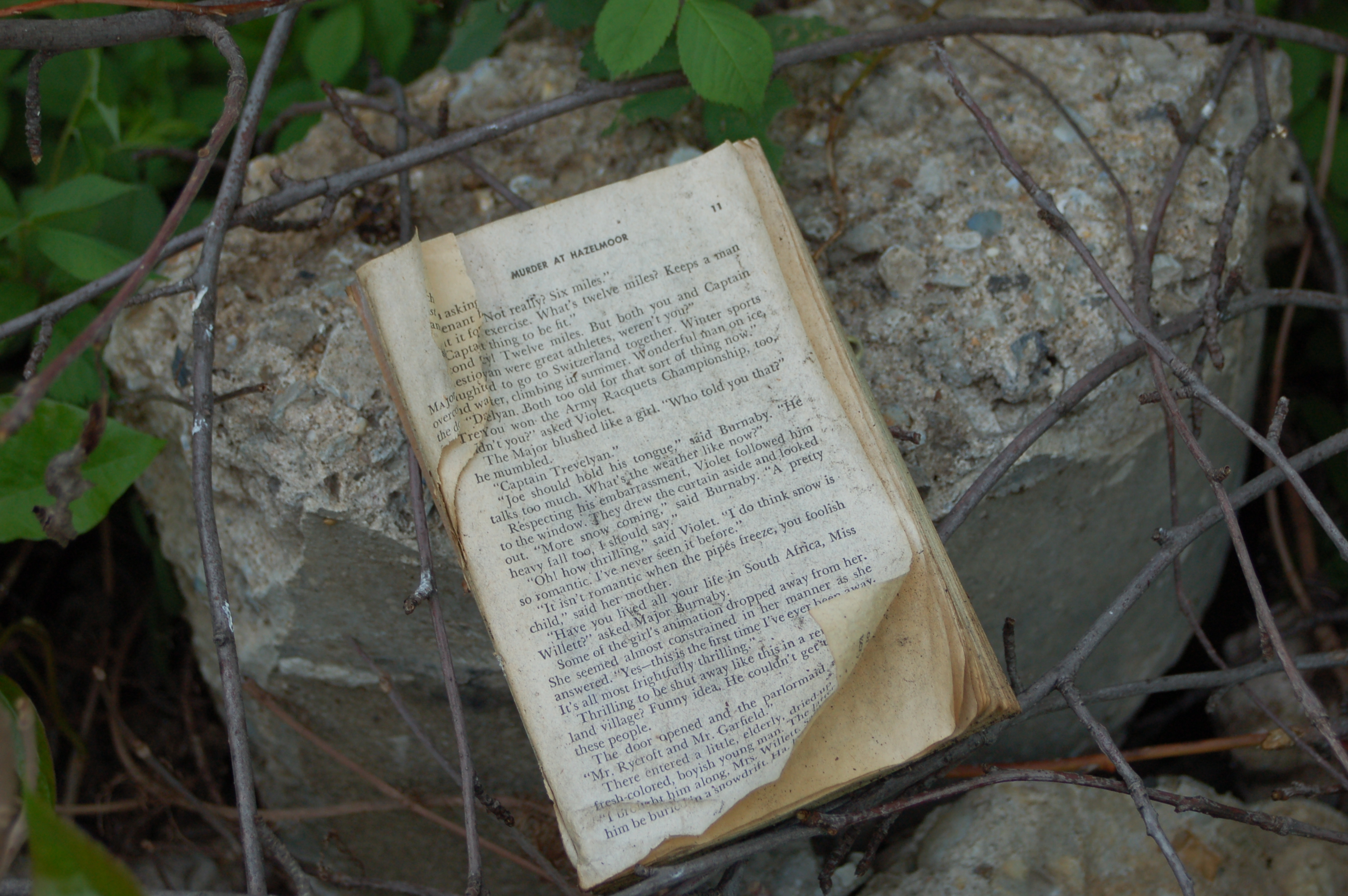 Abandoned book photo