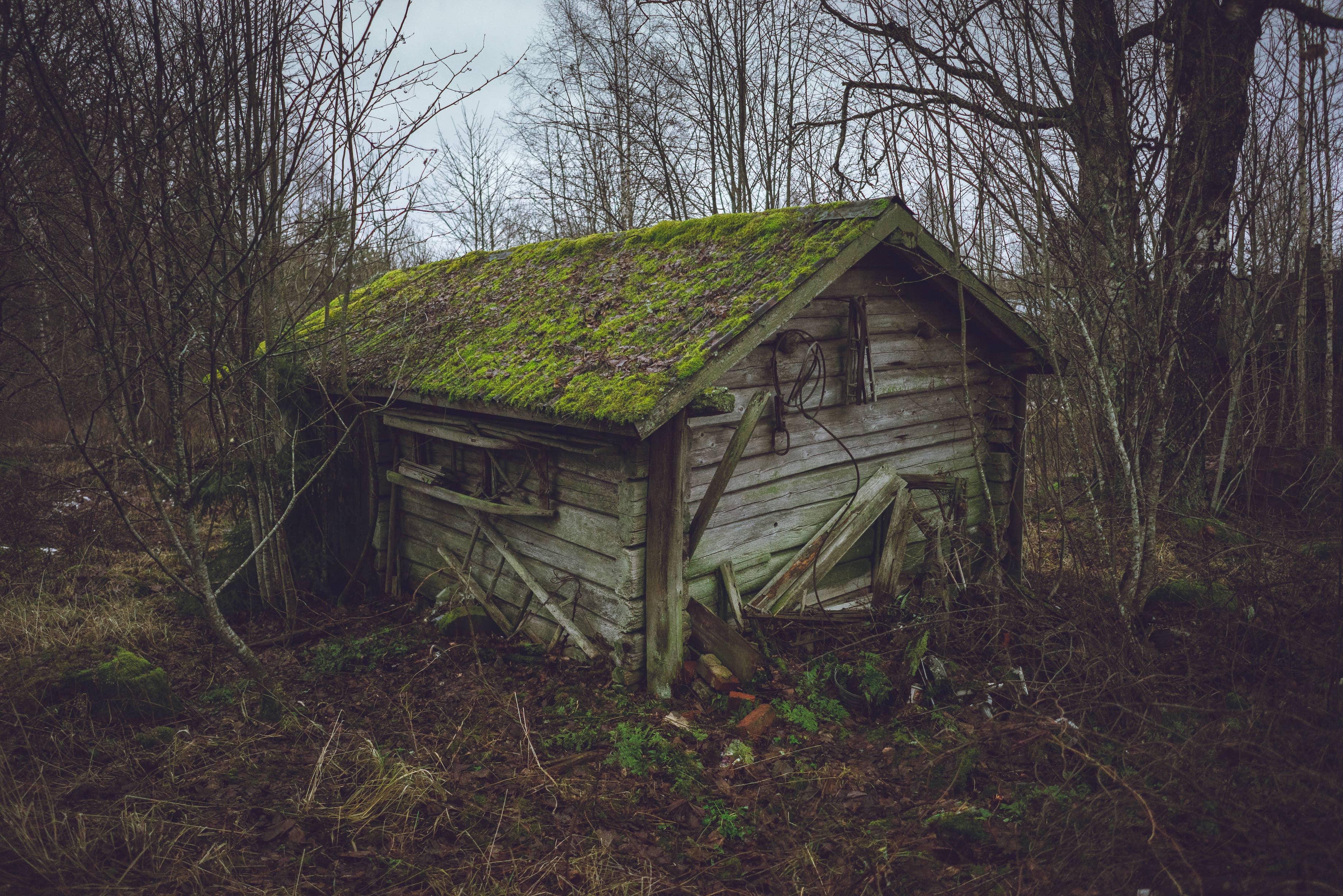 Abandoned cabin photo