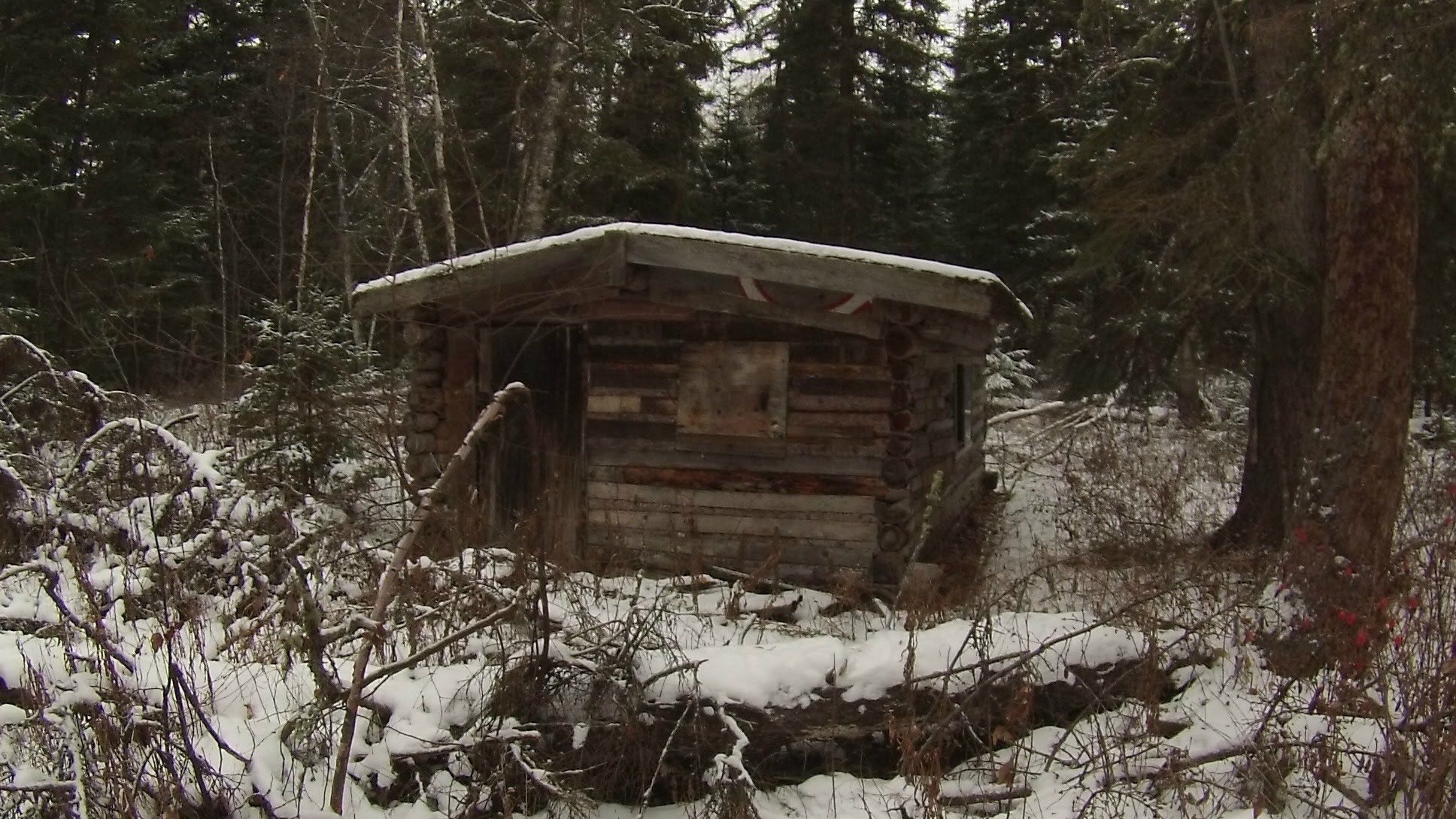 Abandoned Trappers Cabin - YouTube
