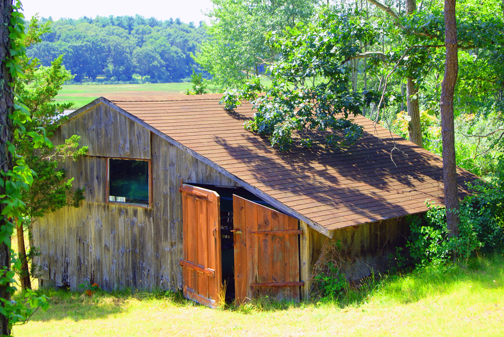 Free Stock Photo 3785-Abandoned Shed 2 | freeimageslive