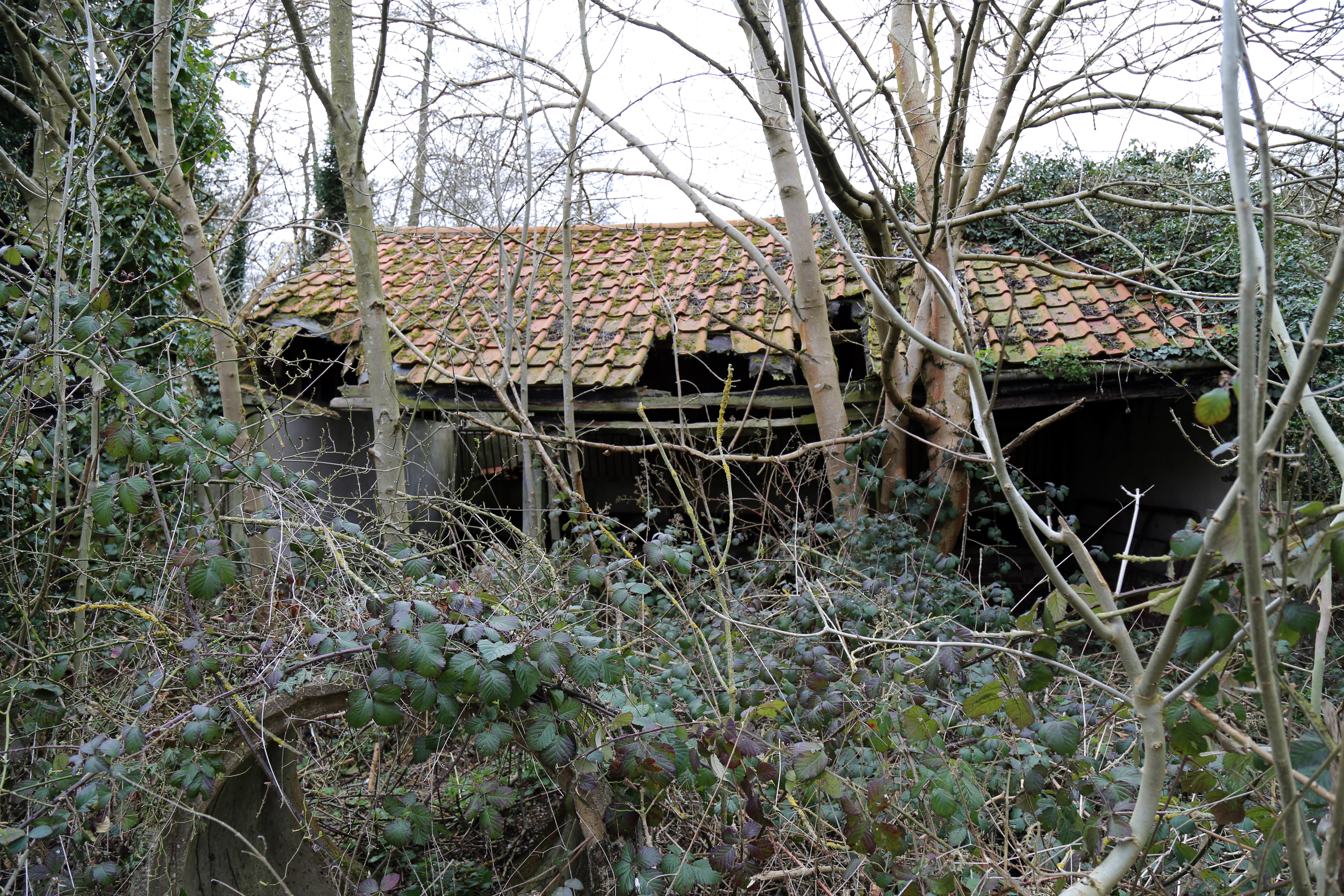 File:Abandoned mill at Tilty, Essex, England, 04 - abandoned shed ...