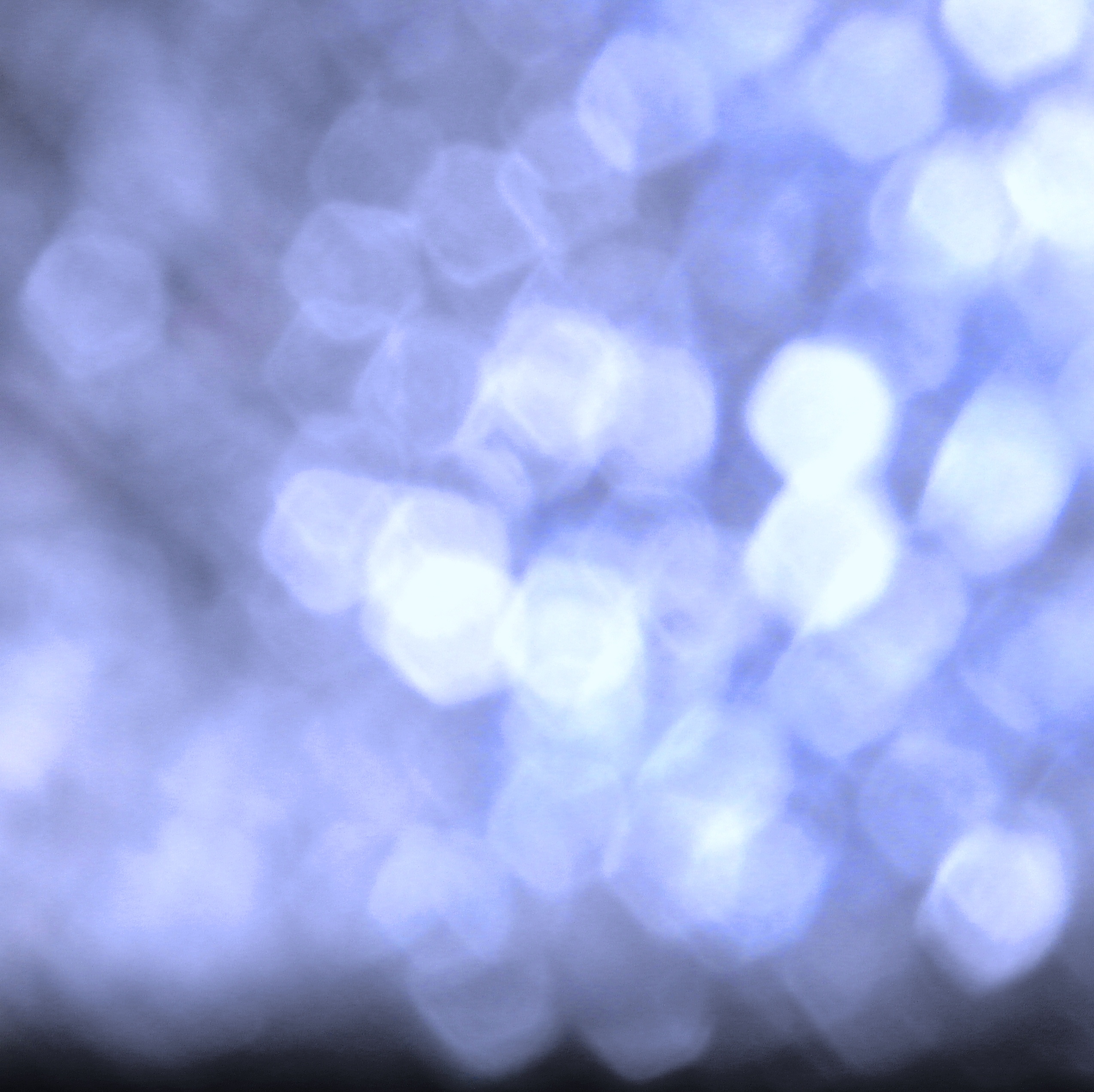Abstract bokeh light background photo