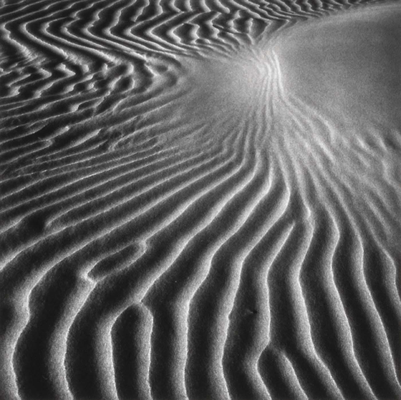 Pin by Victoria Thibeau on DUNEs | Pinterest | Detail and Photography