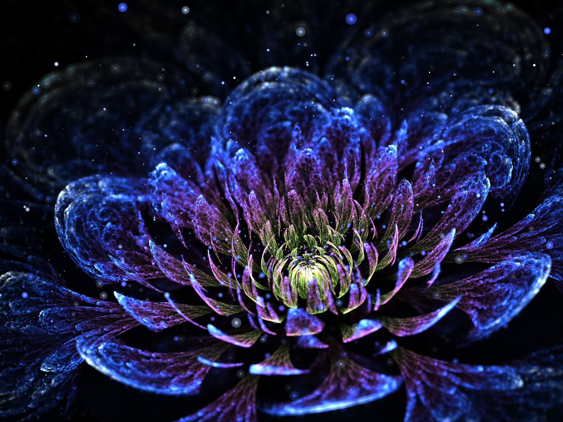 fractal art flowers | abstract, fractal art, petals flower, sfondi ...