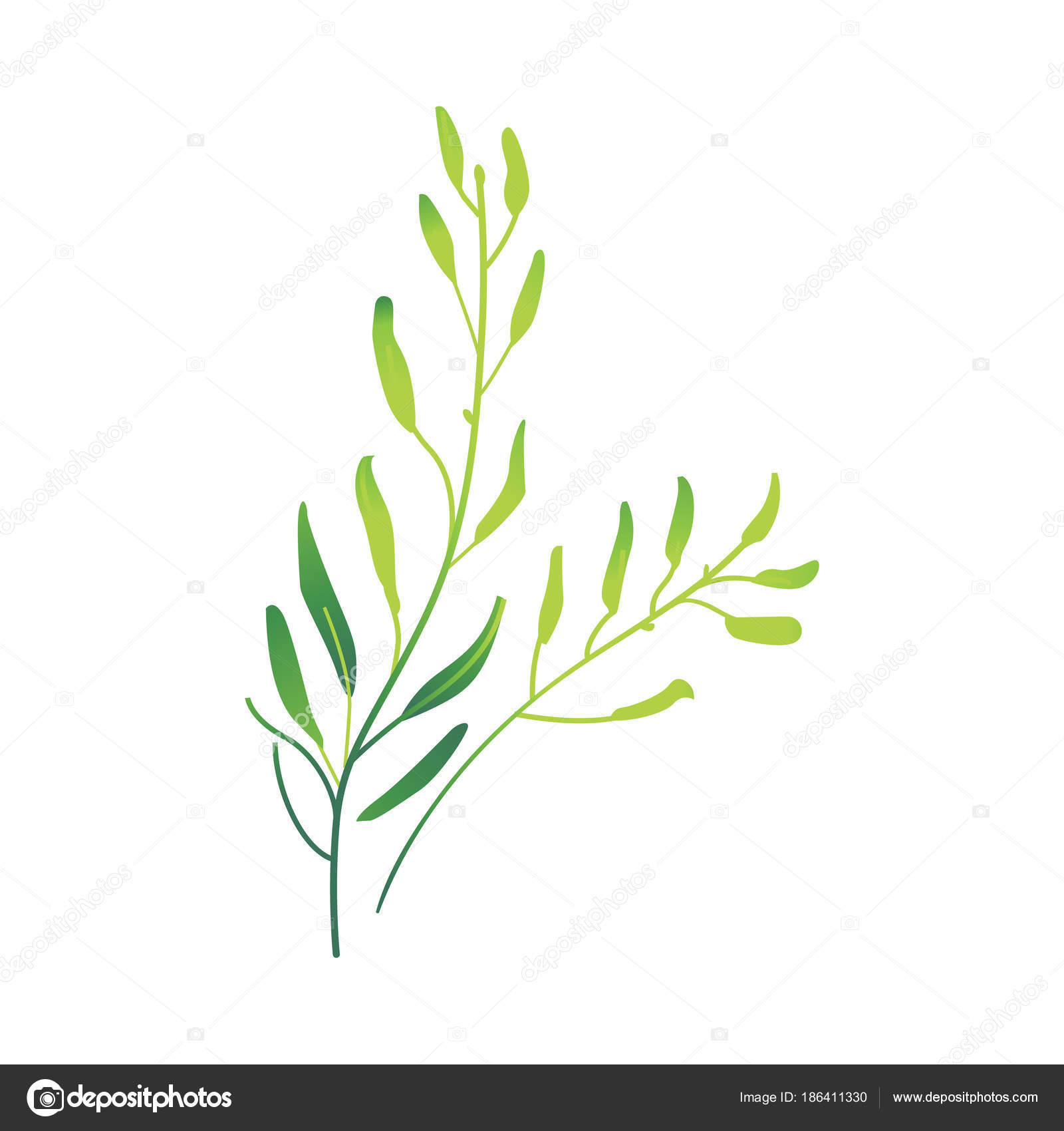 Vector cartoon abstract green plant icon — Stock Vector © Sabelskaya ...