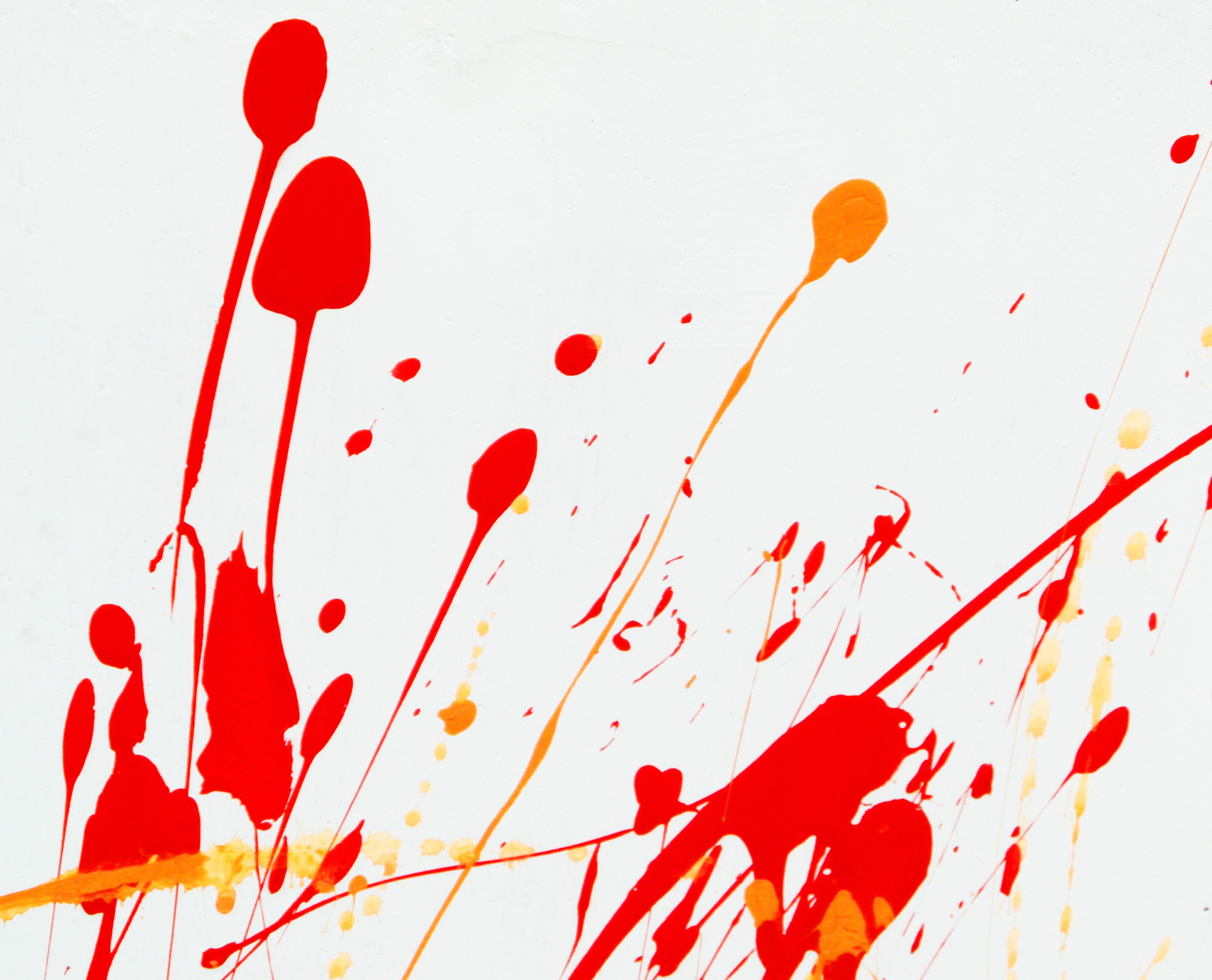 Abstract Paint Splat, Abstract, Palette, Isolated, Lines, HQ Photo