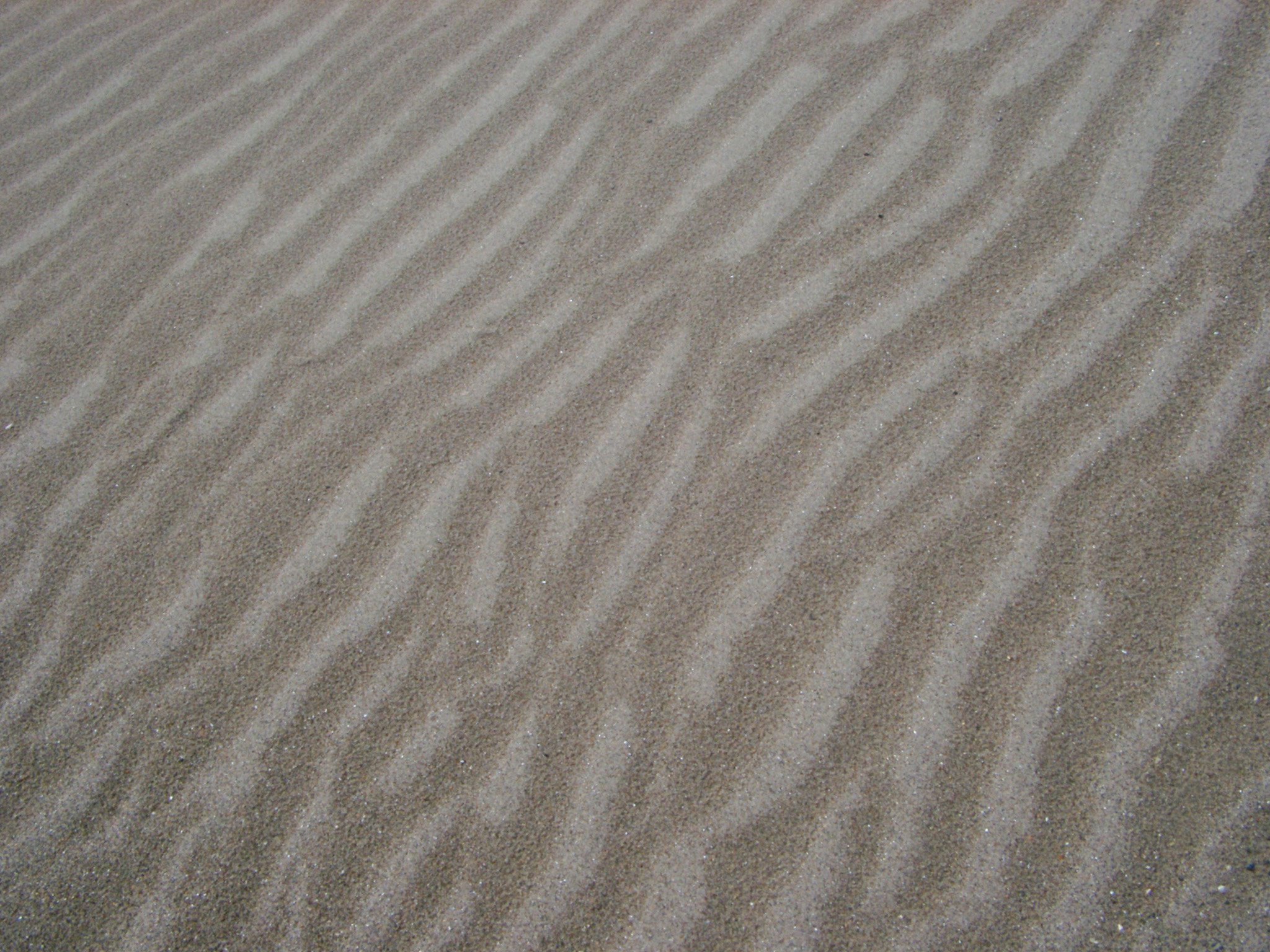 Free Stock photo of Textured Beach Sand with Abstract Design ...