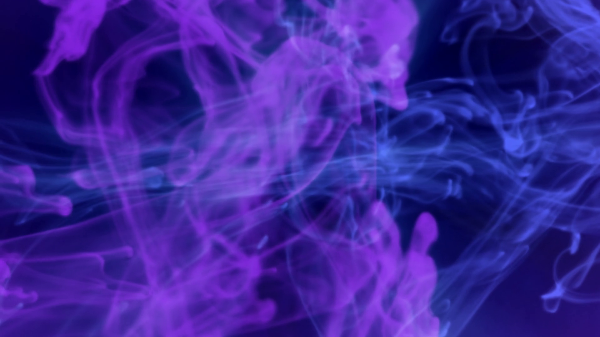 Abstract Smoke Purple and Blue Motion Background - Videoblocks