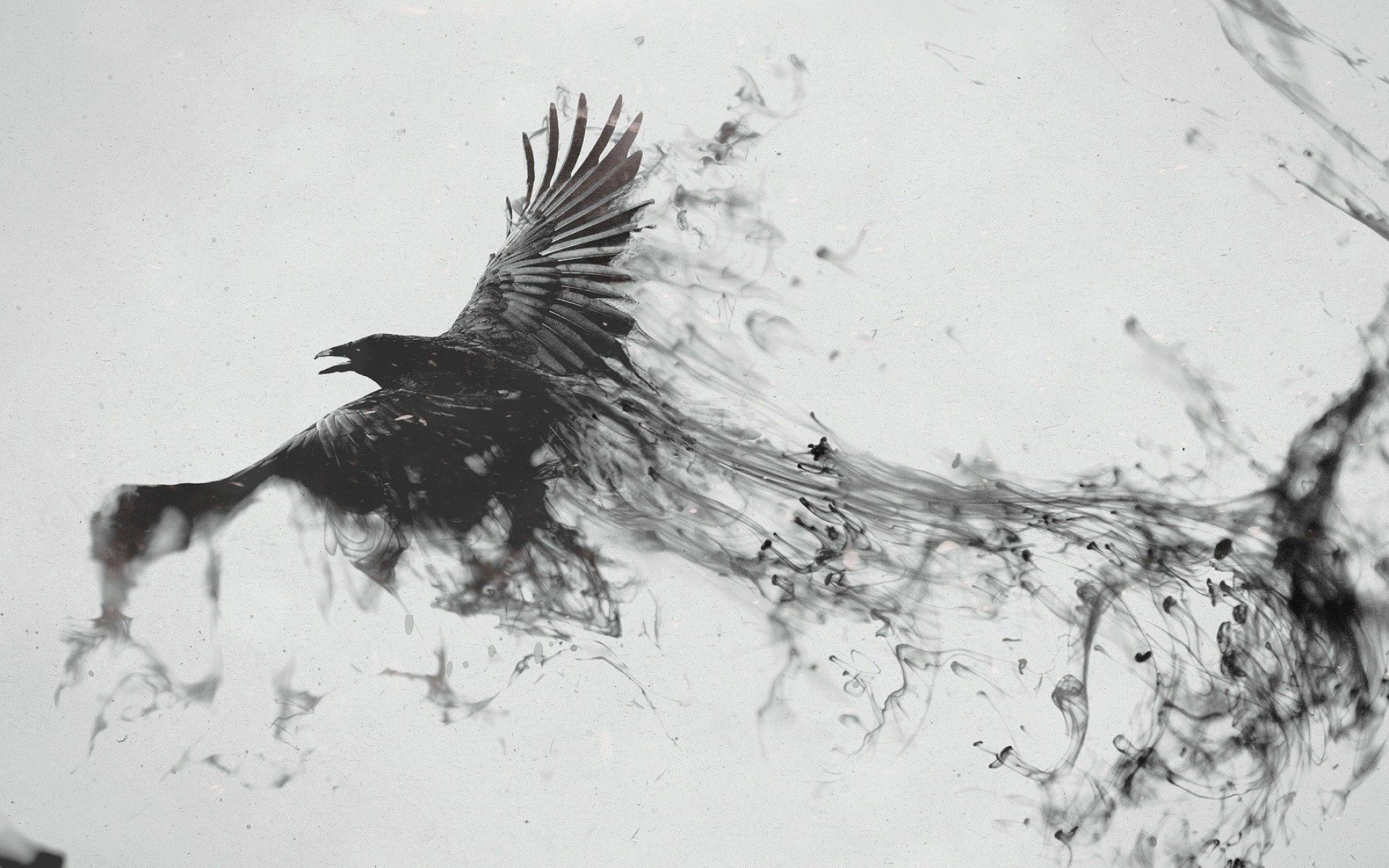 abstract bird art | Abstract Smoke Flying Bird Art Photos 5275 ...
