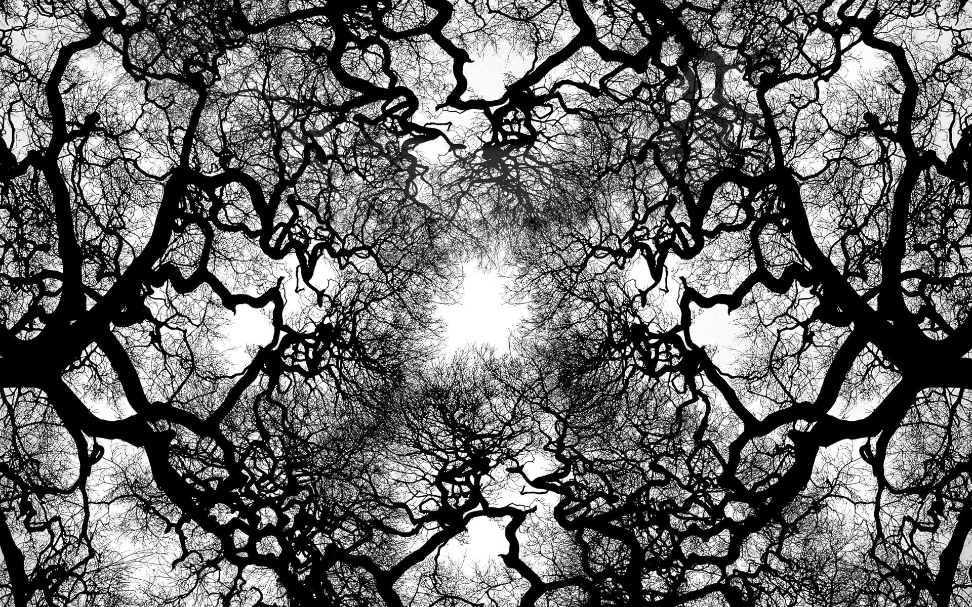 Abstract Tree | Desktop Backgrounds