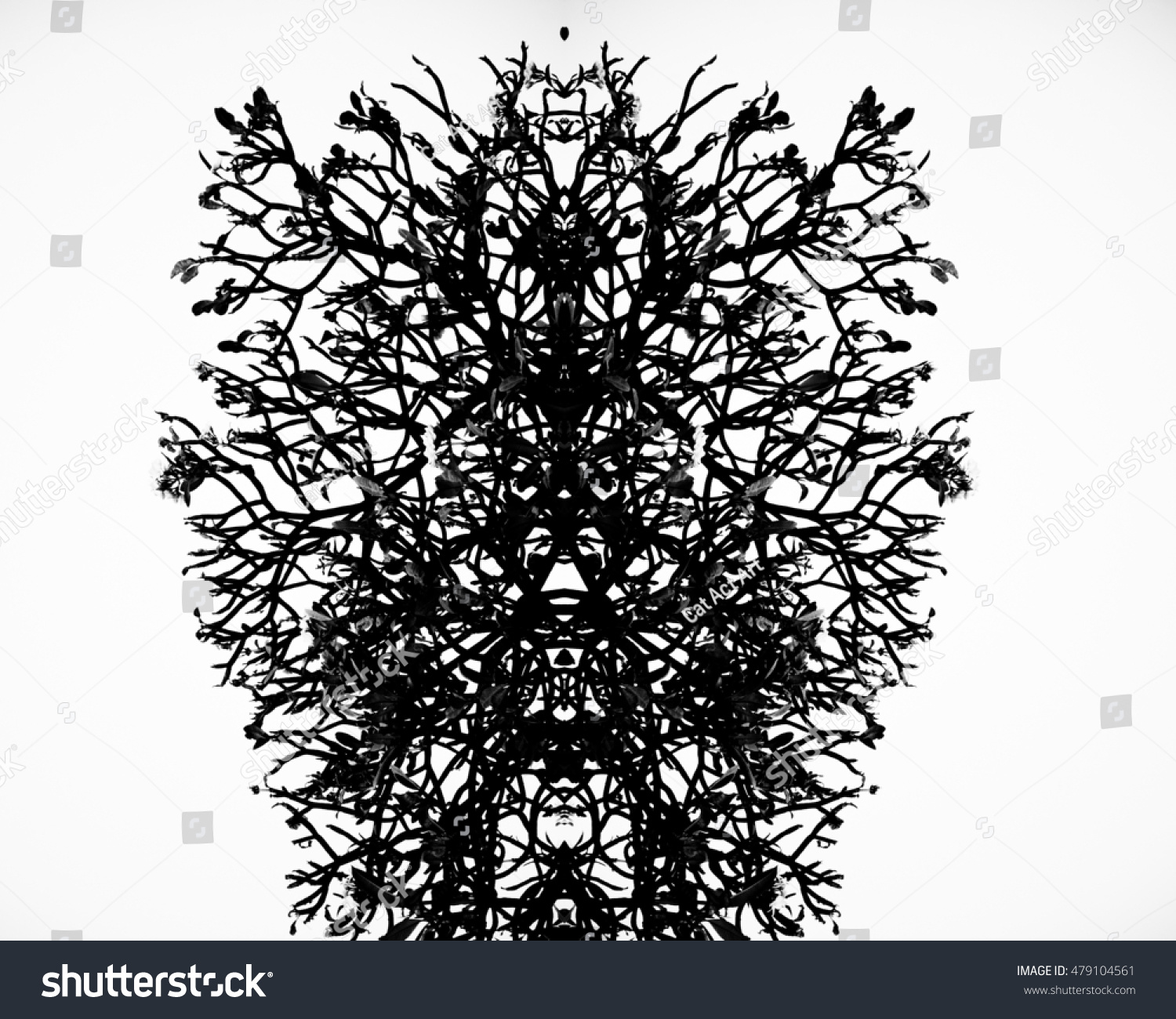 Abstract Tree Branches Isolated On White Stock Photo (100% Legal ...