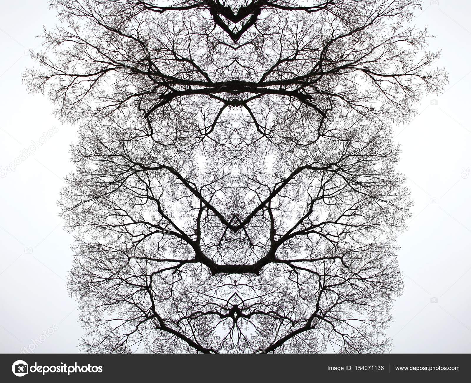 Tree branches, abstract concept. — Stock Photo © Artfully79 #154071136