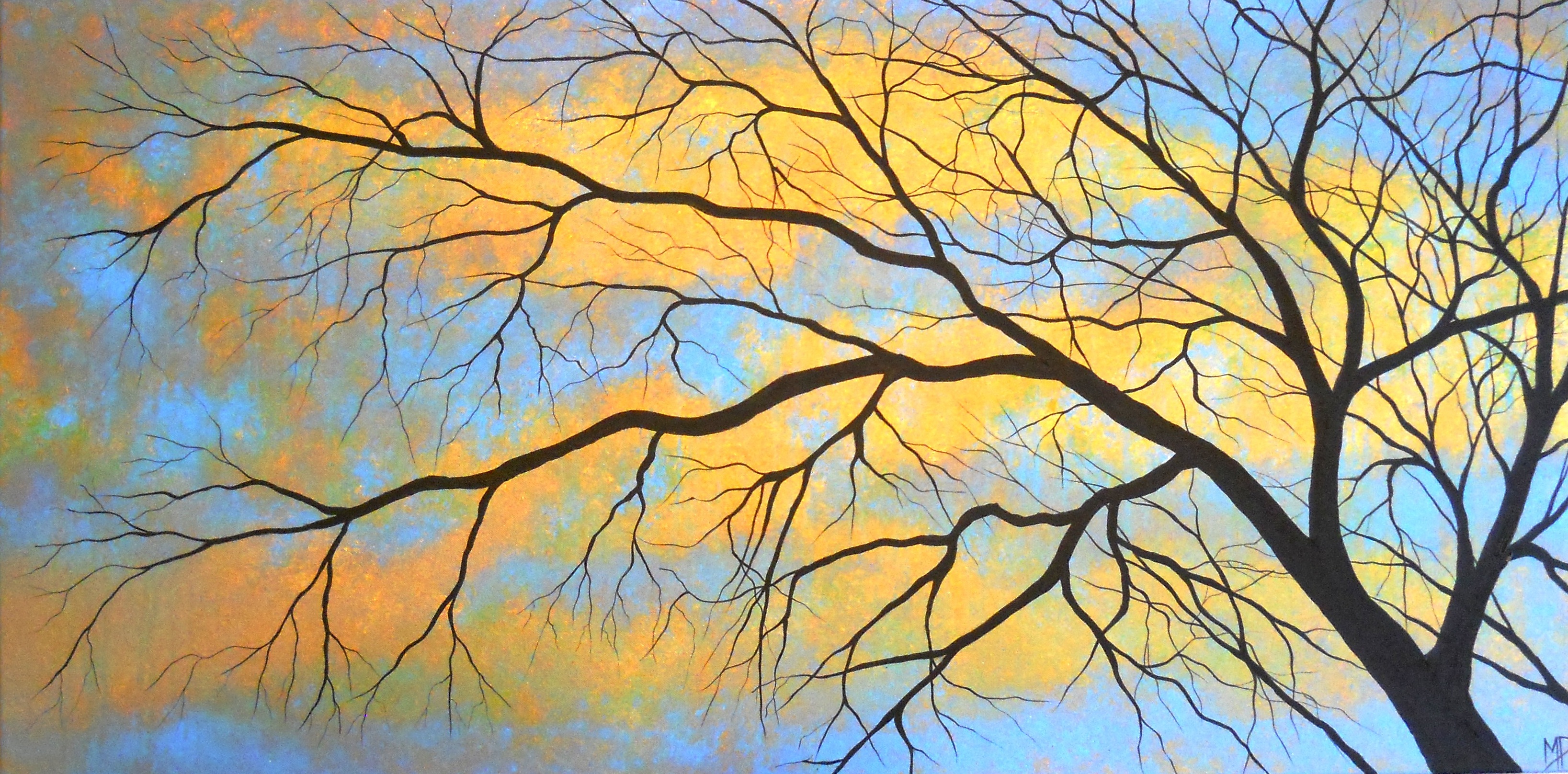 Free photo: Abstract tree branches - Abstract, Bare, Branches - Free