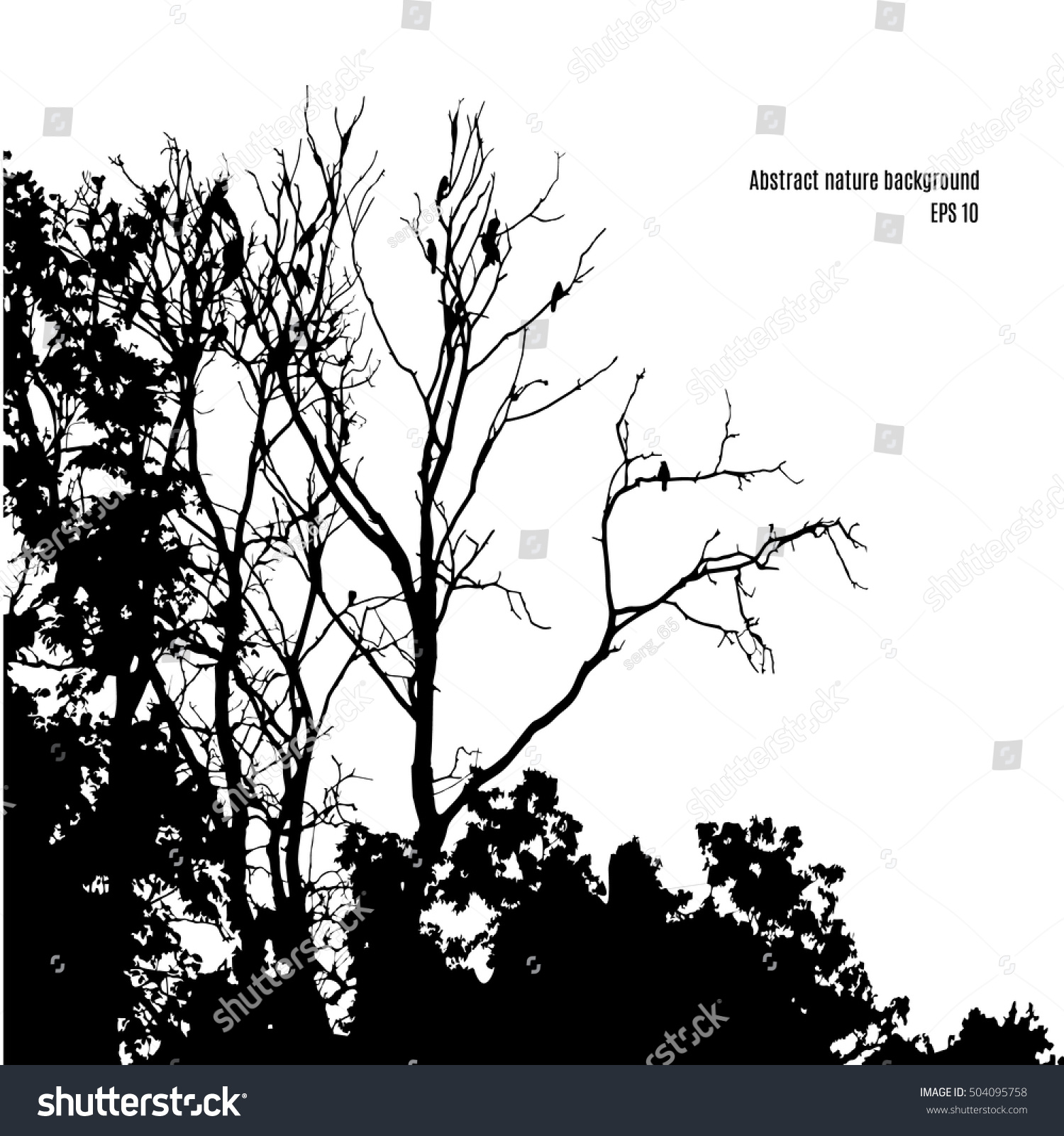 Silhouette Tree Branches Birds On Isolated Stock Photo (Photo ...