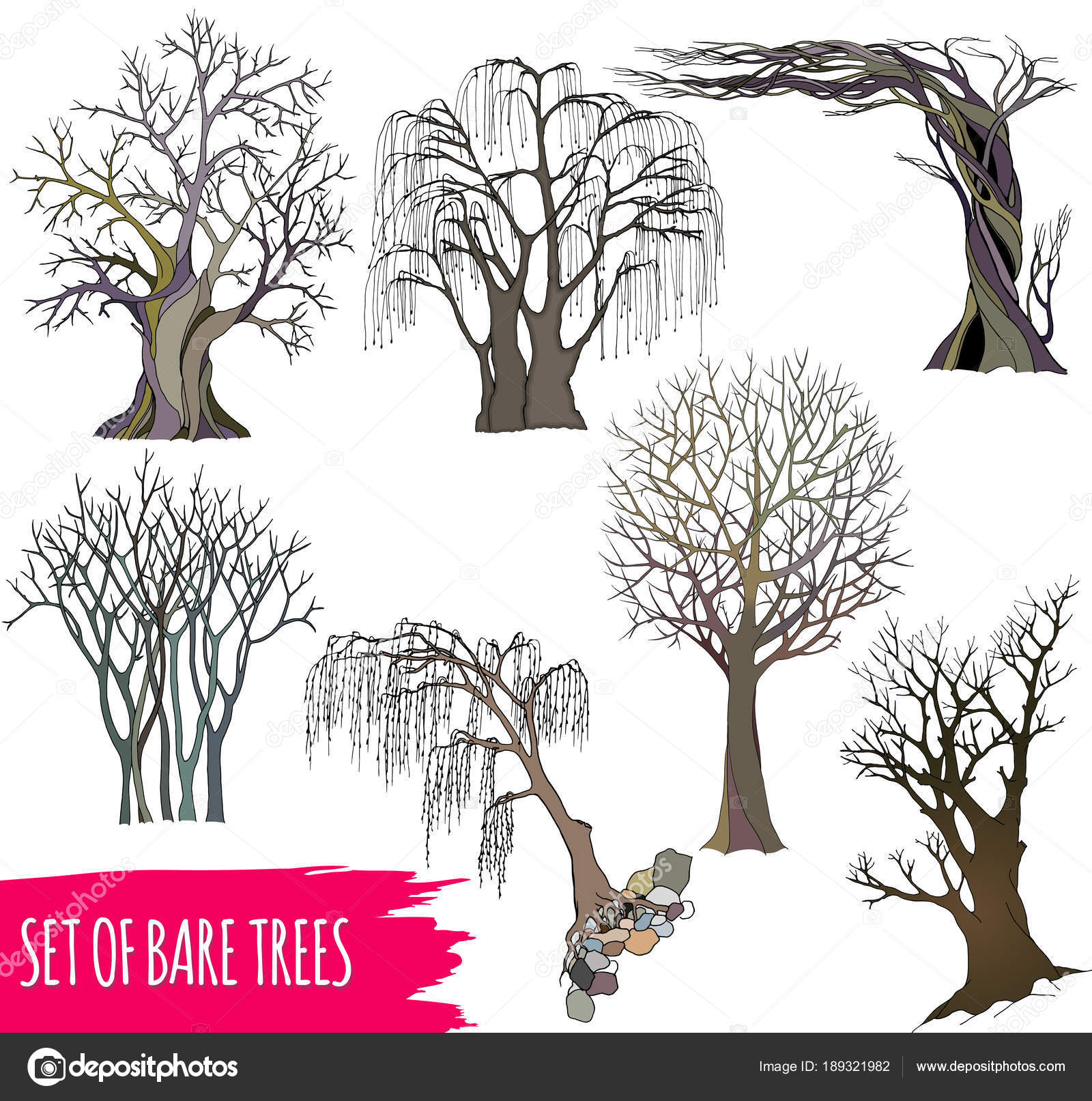 A set of five abstract bare trees with detailed branches and twigs ...