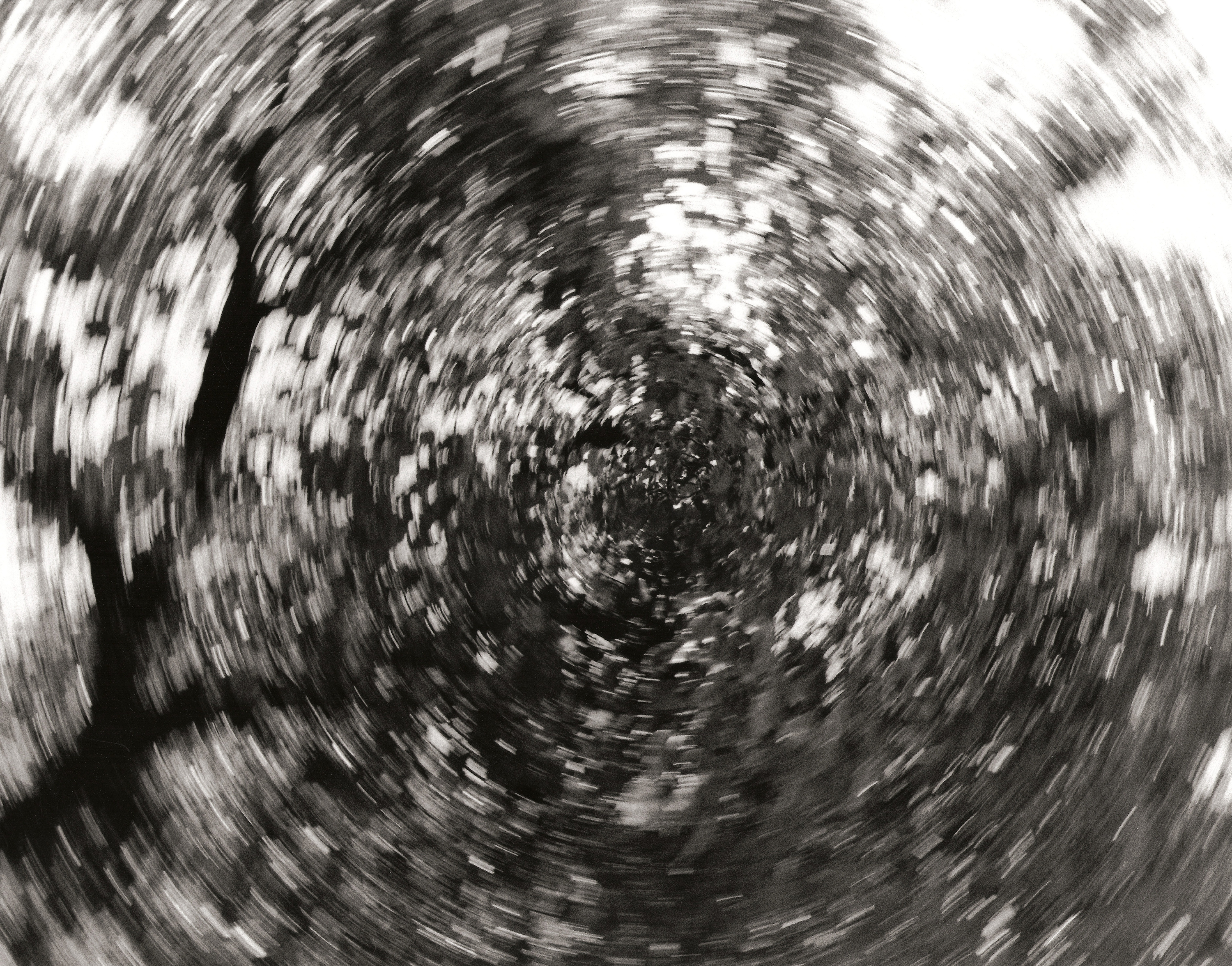 abstract tree blur by nick ares on flickr - Image Journal
