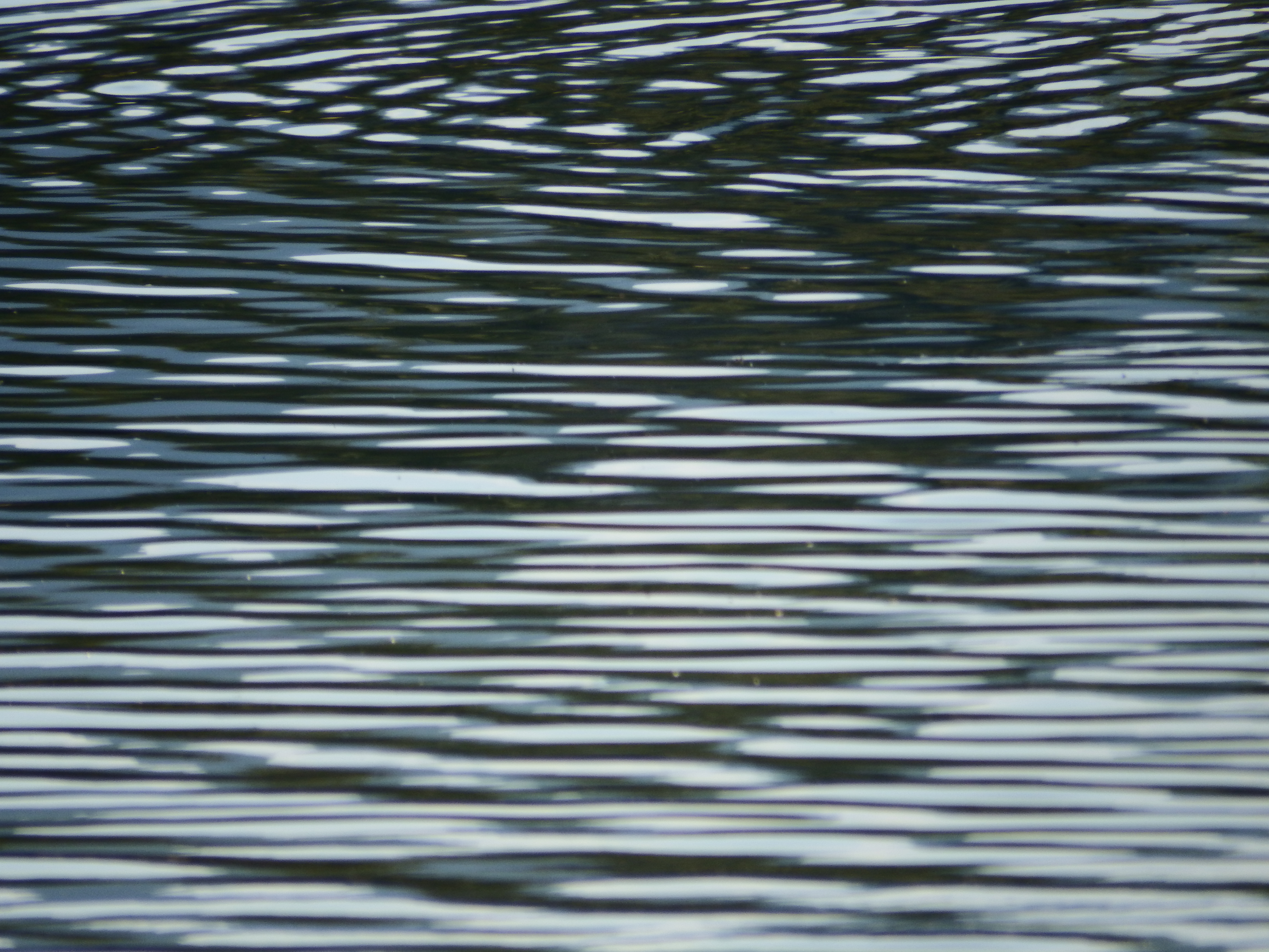 Abstract water ripples background photo
