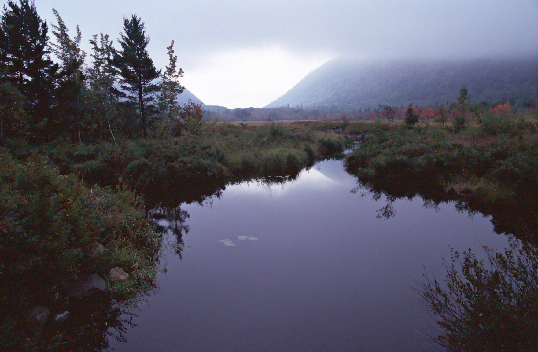 Acadia national park autumn photo